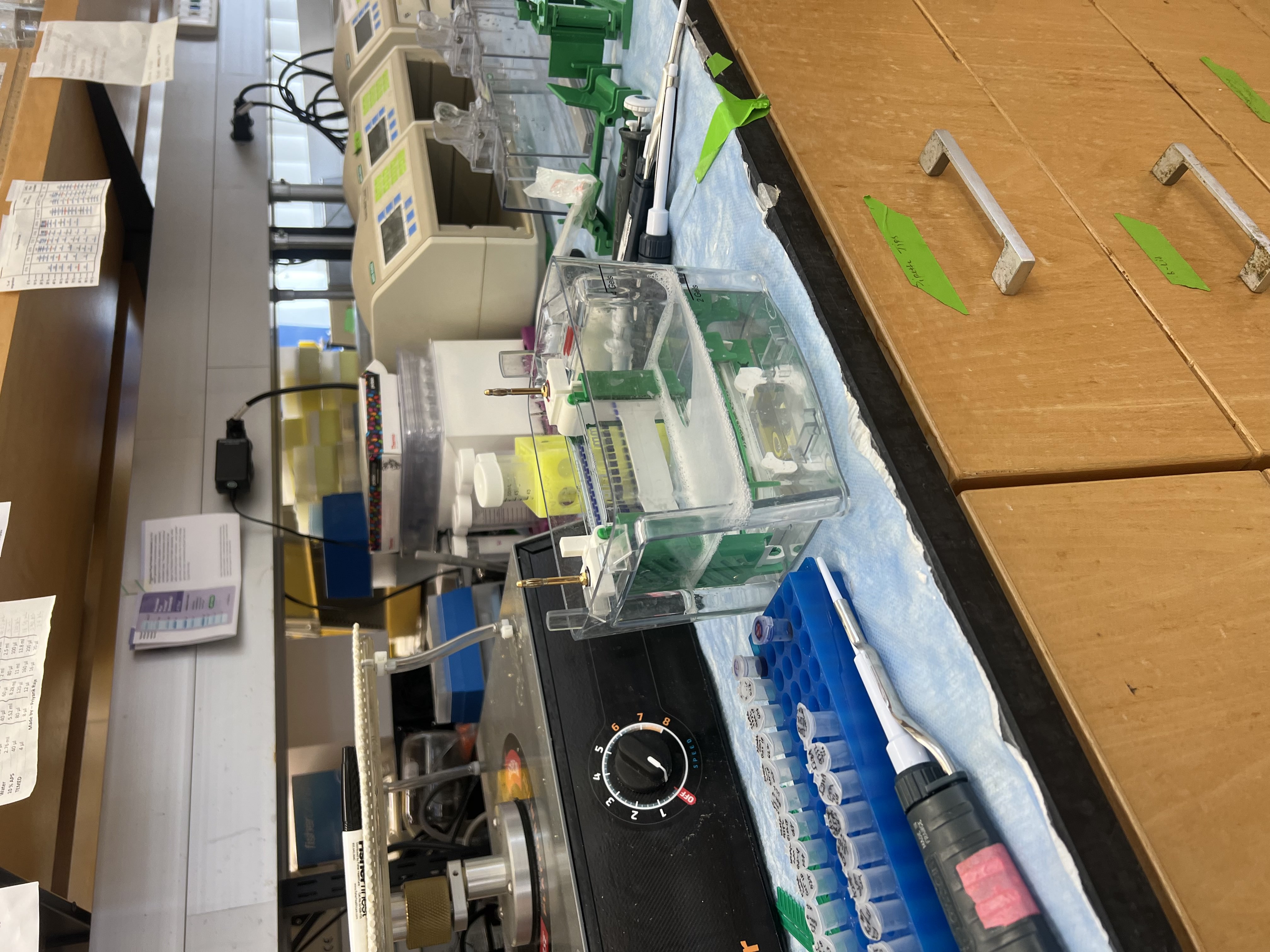 Research Poster: Dissecting RIPK3 Autophosphorylation with the Potent Necroptosis Inhibitor UH15-38