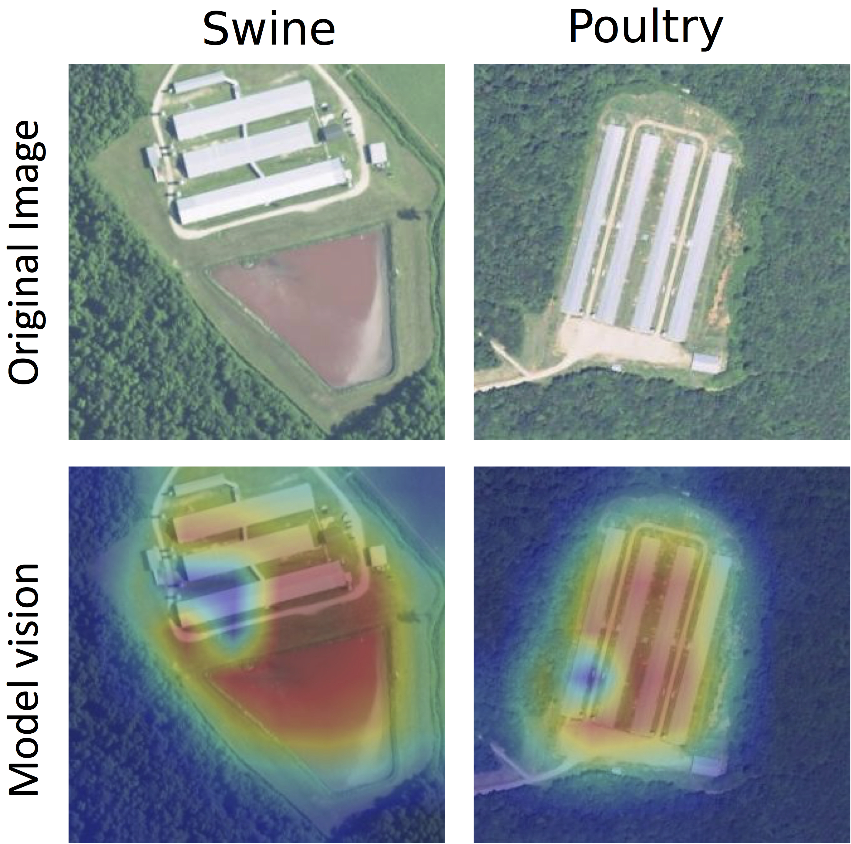 Deep learning to map concentrated animal feeding operations
