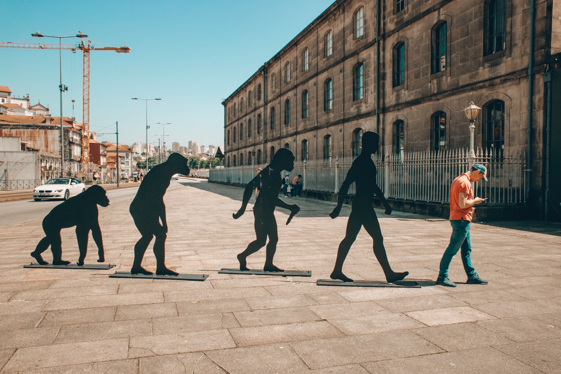 Evolution education without borders