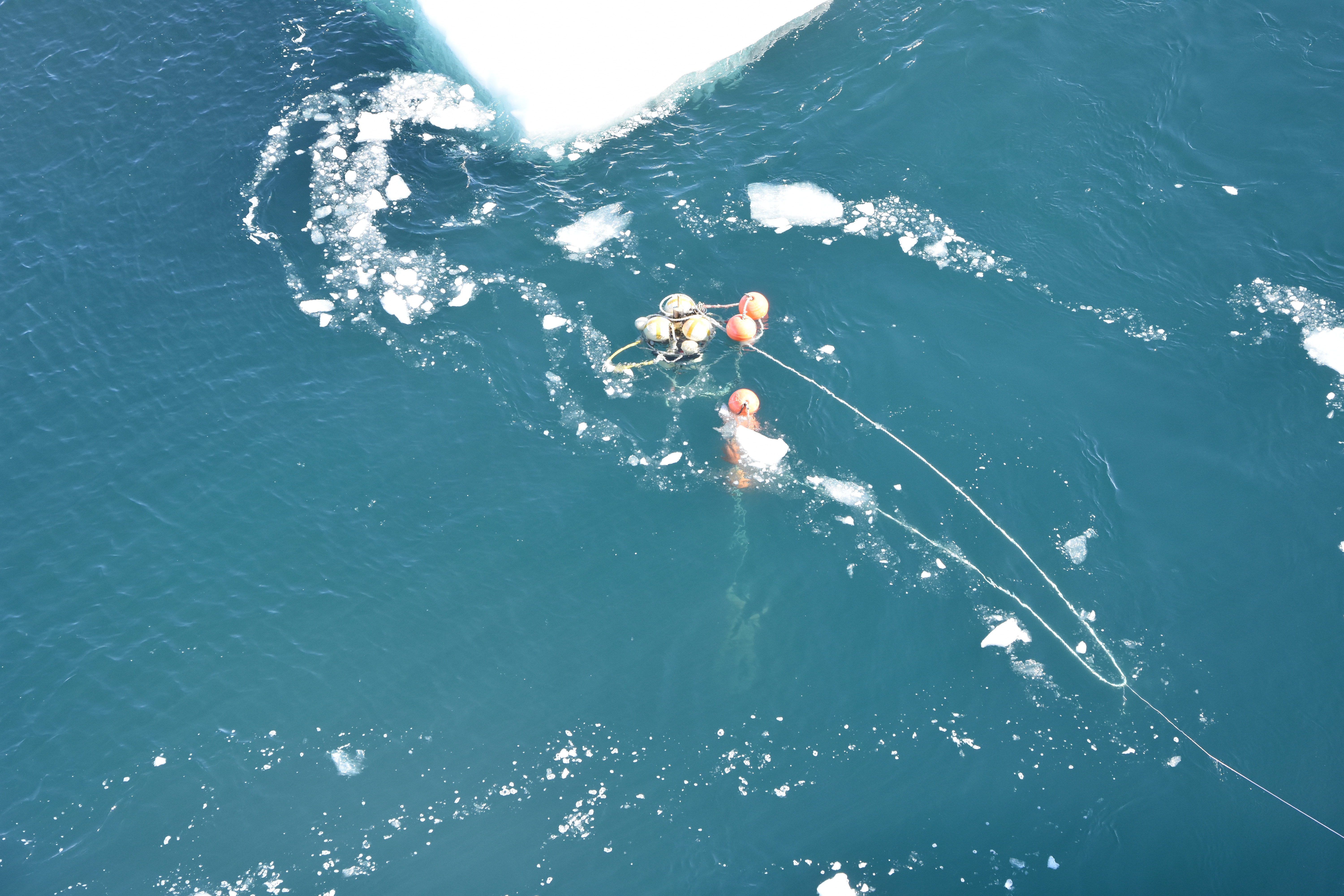 Warm surface waters increase Antarctic ice shelf melt and delay dense water formation