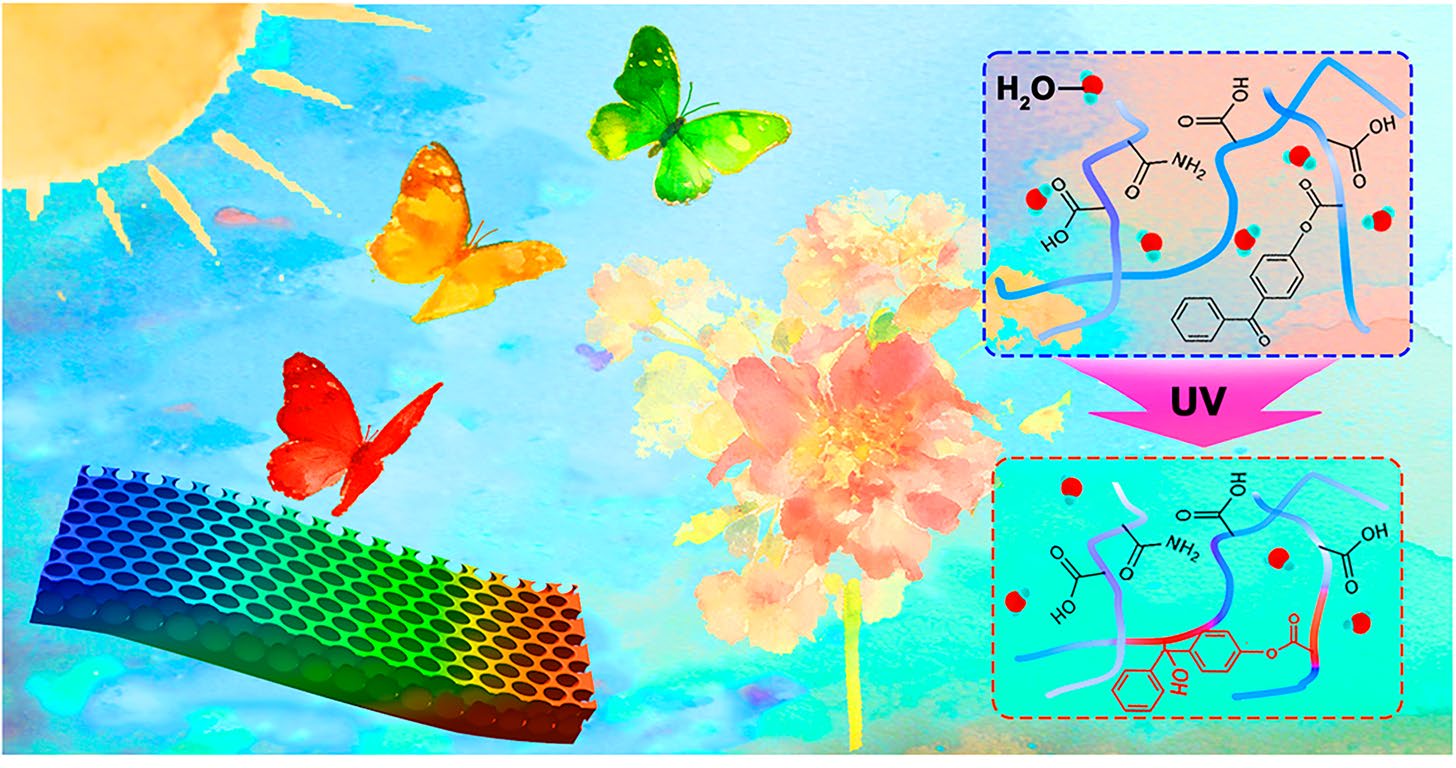 Information Security with Smart Hydrogels: Photo‑Patterning and Multi‑Stimuli Responsive Structural Color