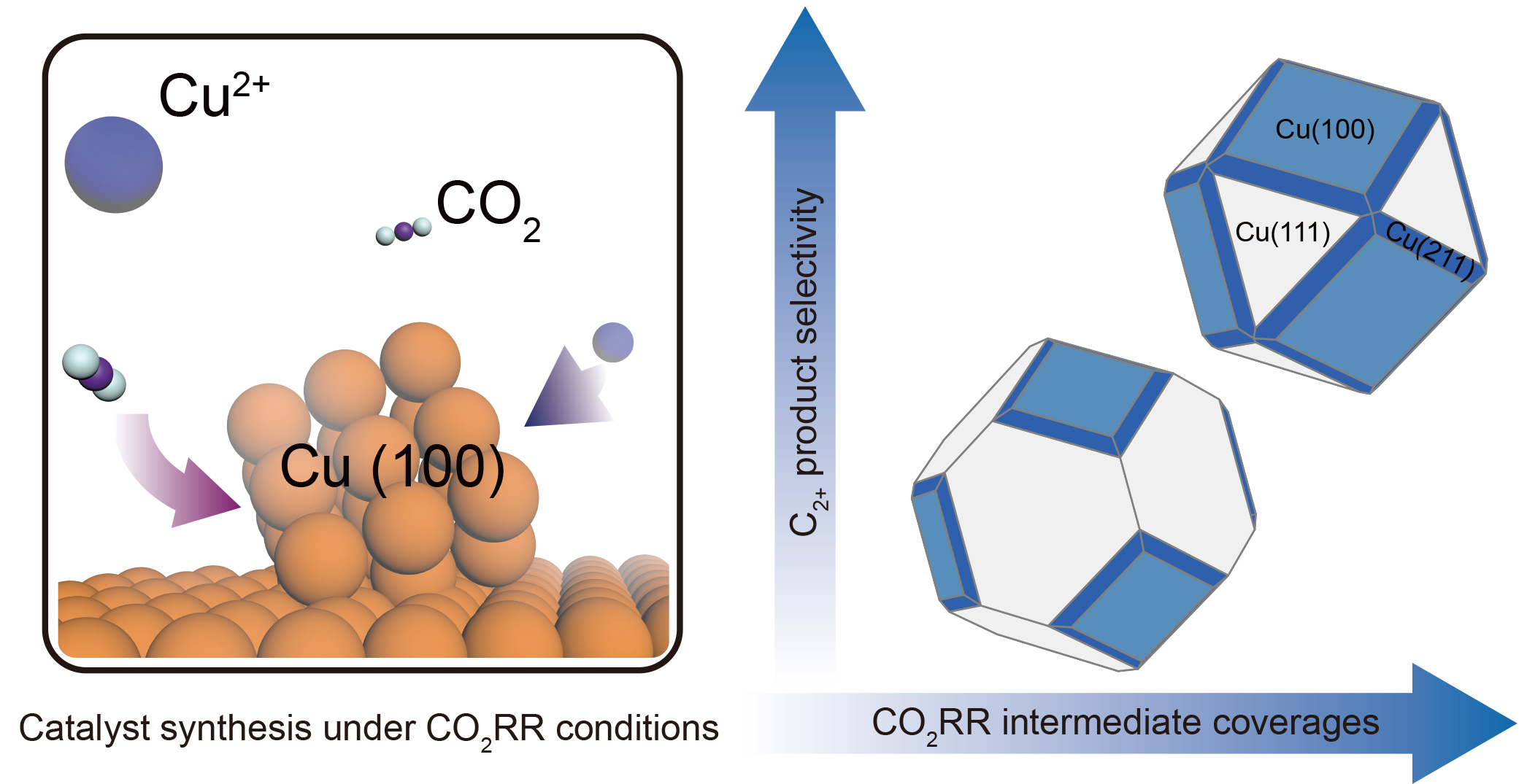 Constructing CO2 catalysts under CO2 electroreduction
