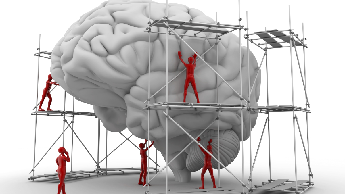 Exploring Brain, Behaviour and Mental Health Through Nature Portfolio Cross-Journal Collections