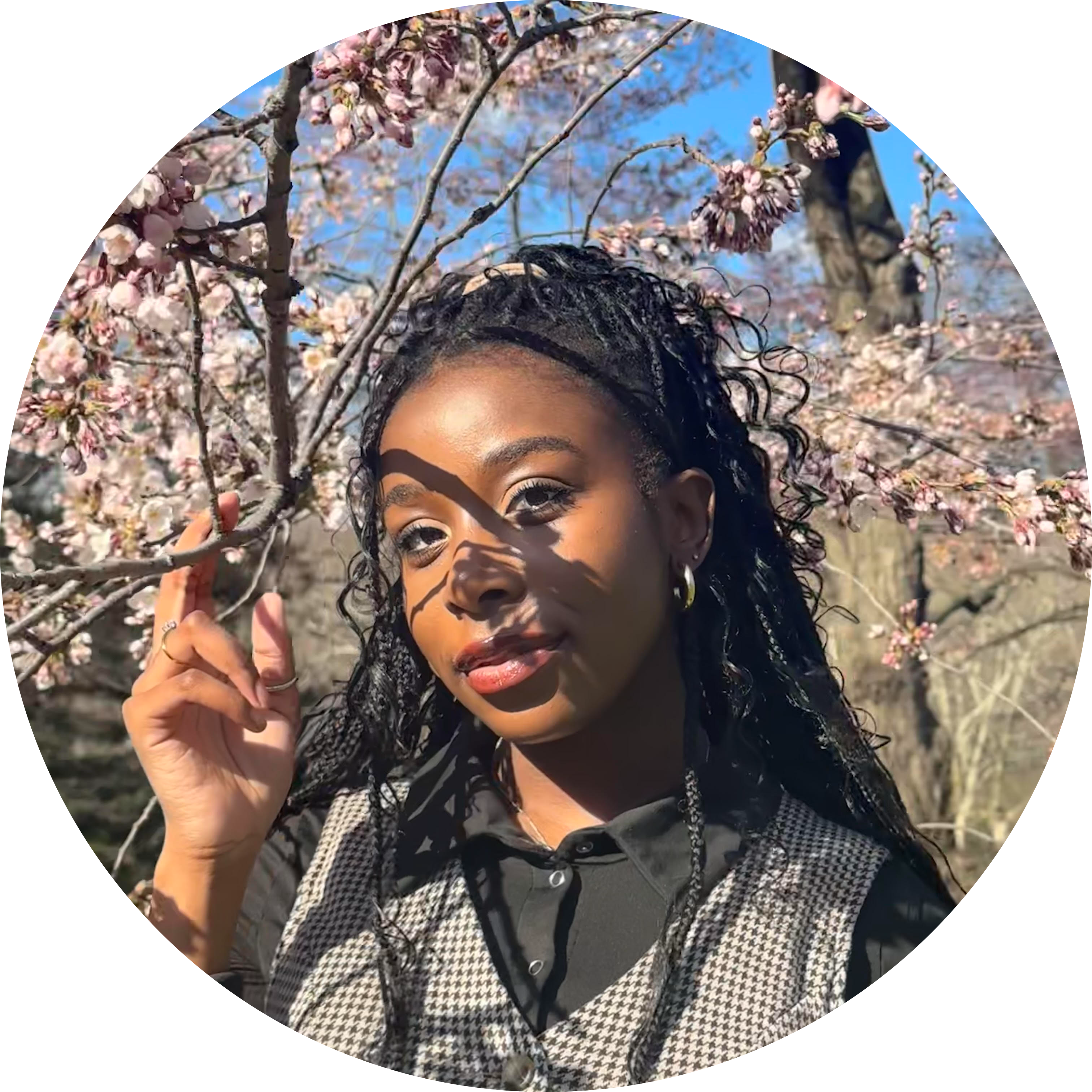 Go to the profile of Reese Taylor