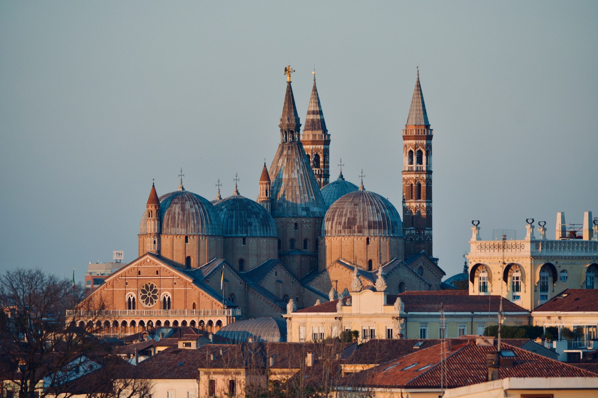Exploring transglutaminases in Padova