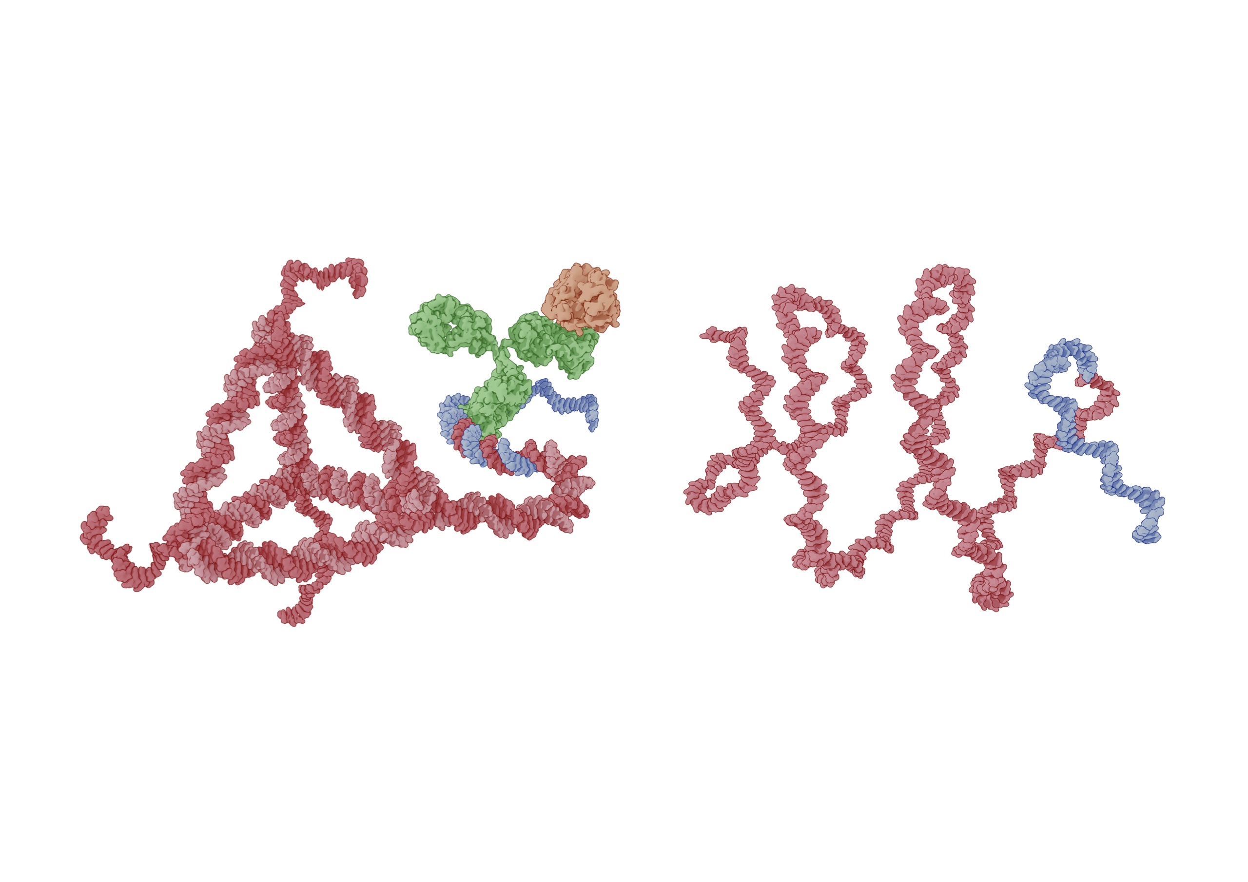3D DNA barcodes for the subcellular profiling of protein expression and distribution