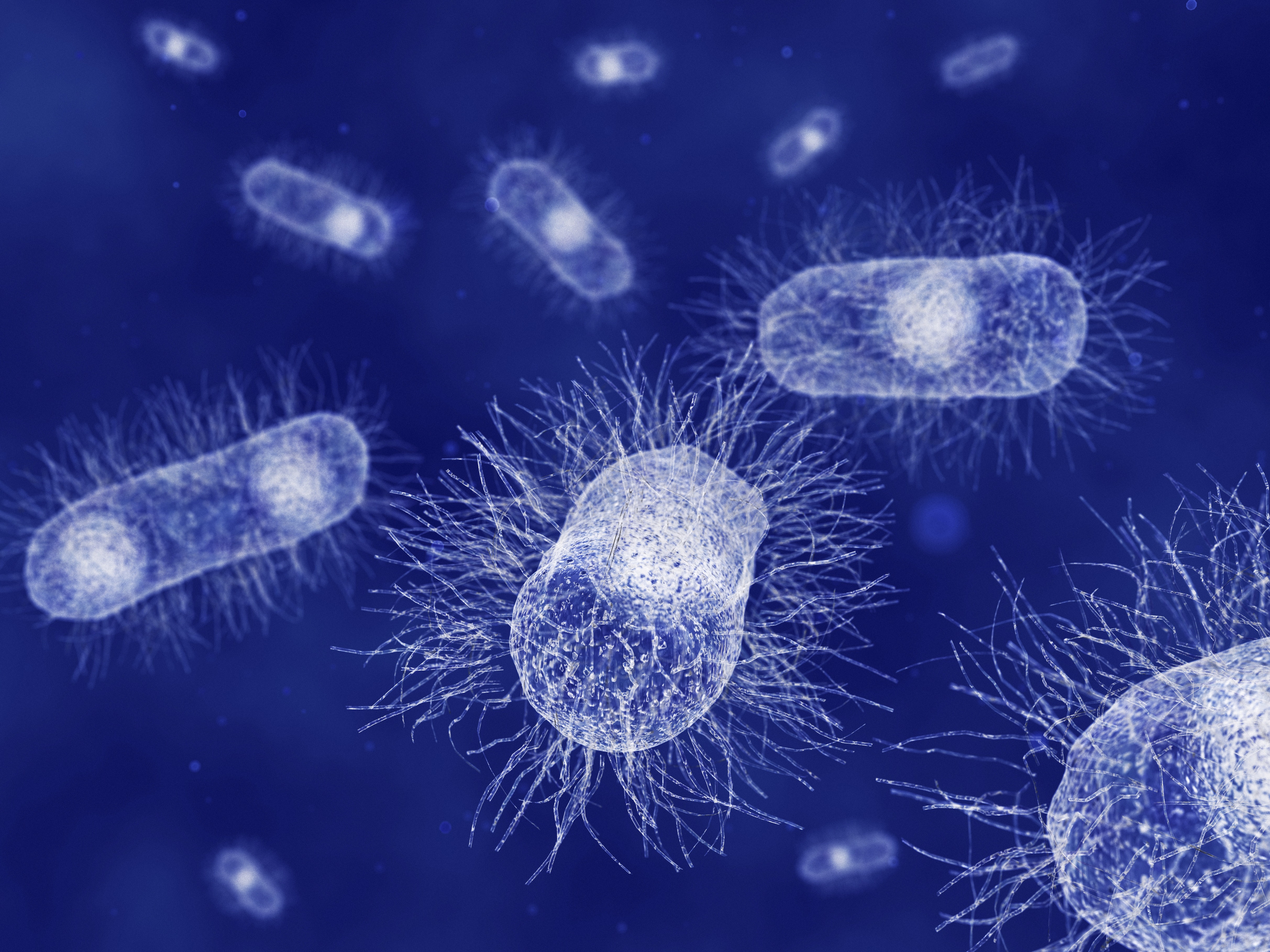 Top 100 in Microbiology | Scientific Reports
