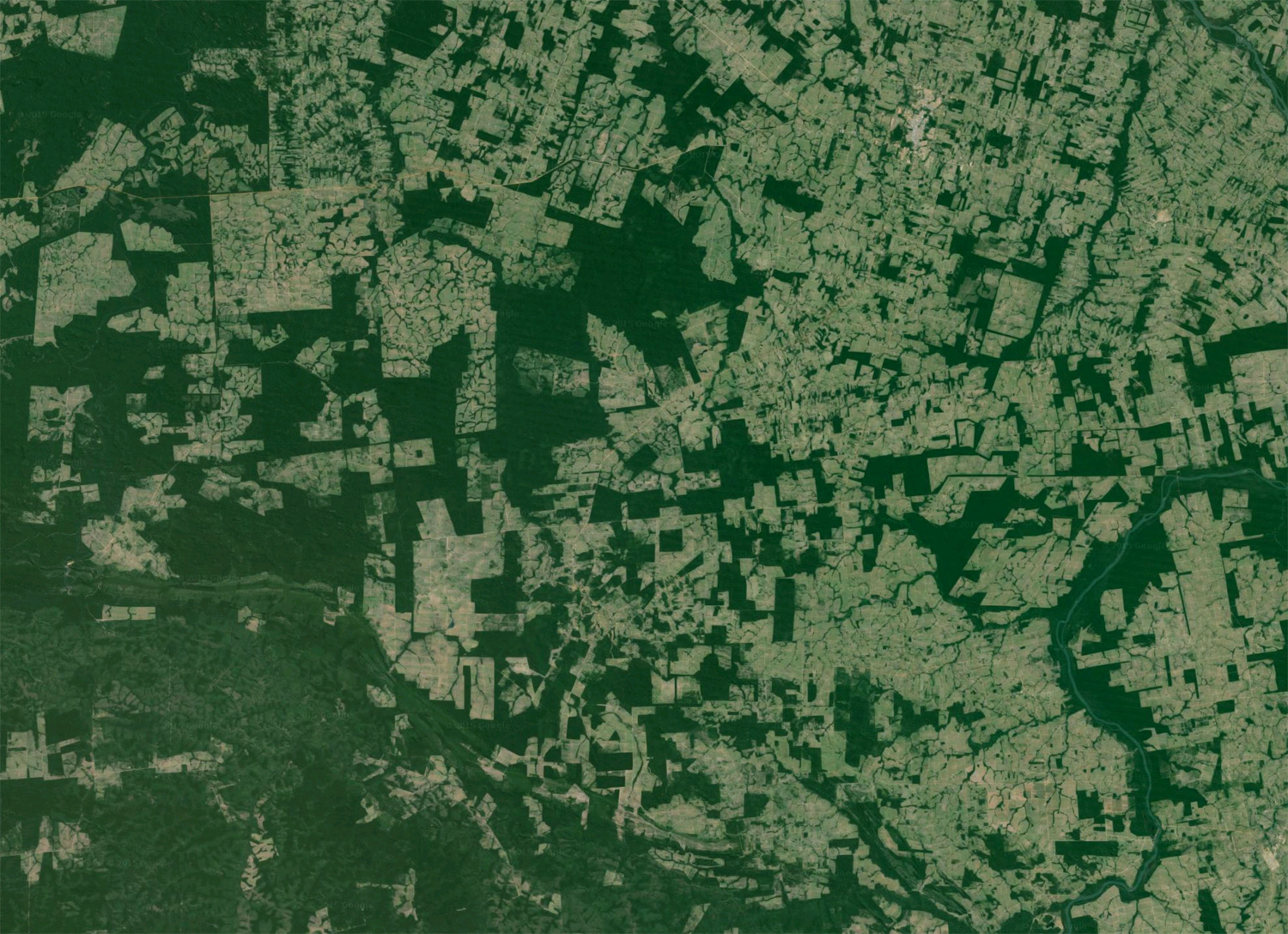 From Forest Fragments to Farmlands: New Collection on Bird Ecology and Conservation