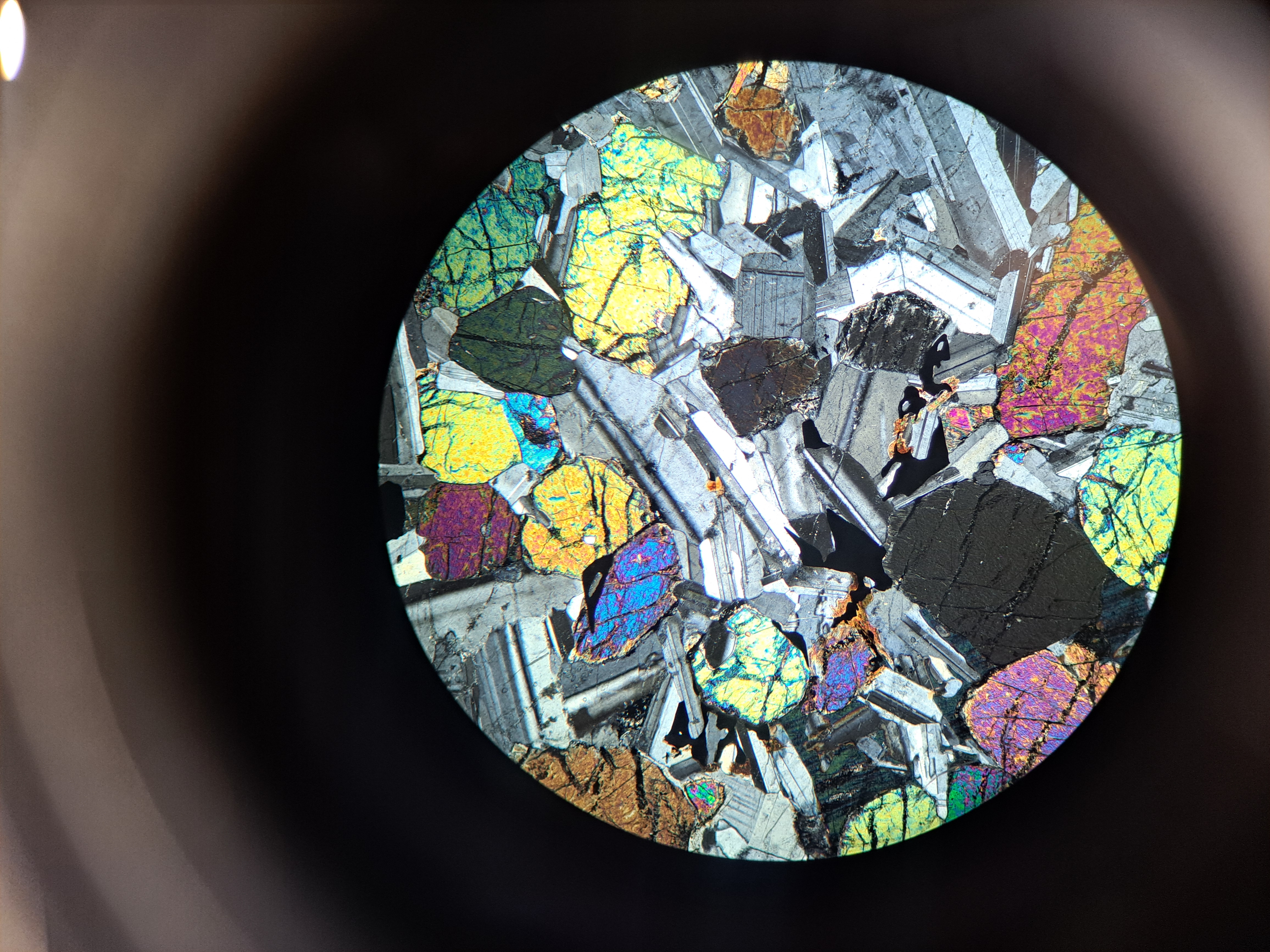 Reflective Research Report Summer 2