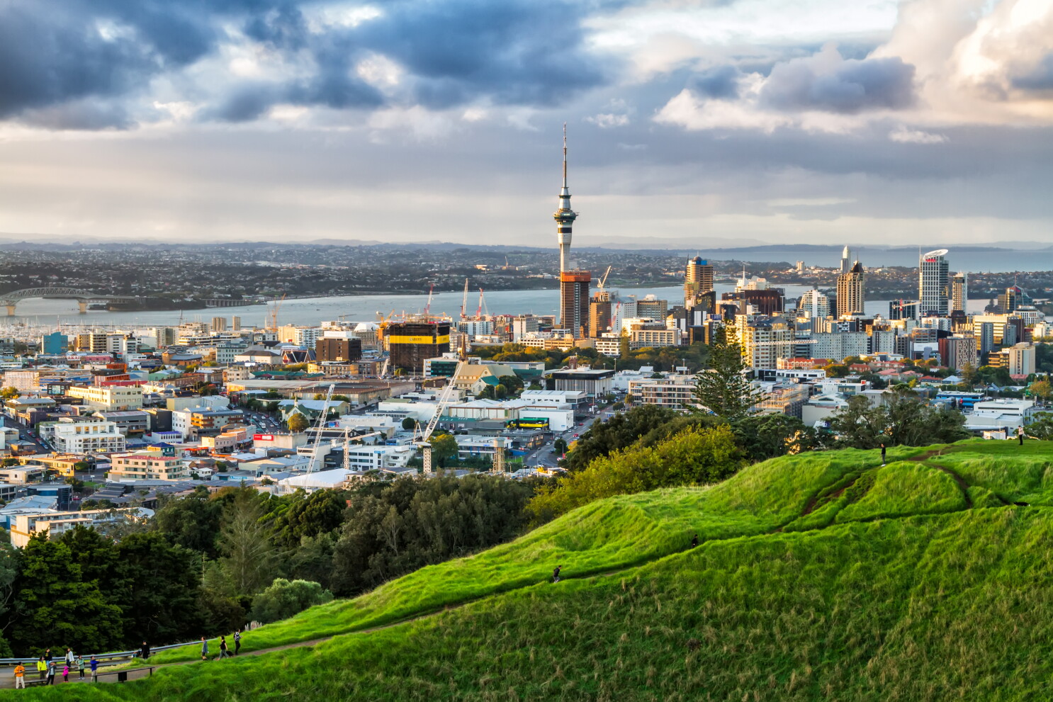 LiA Week 1: Amplifying the voices of New Zealand's creative youth with YANZ 