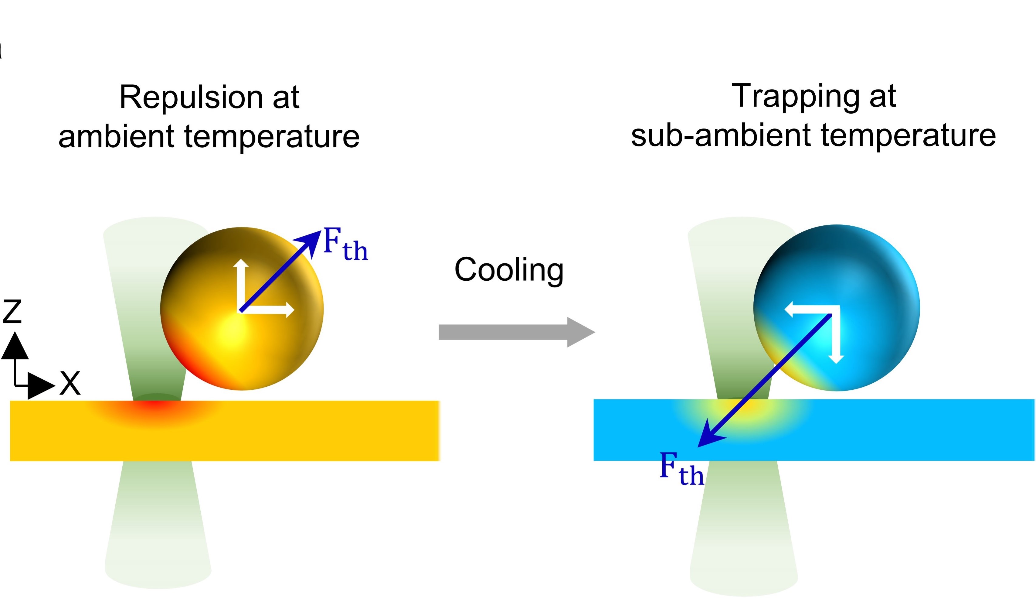 Hypothermal Opto-Thermophoretic Tweezers: Cool down before you heat up!