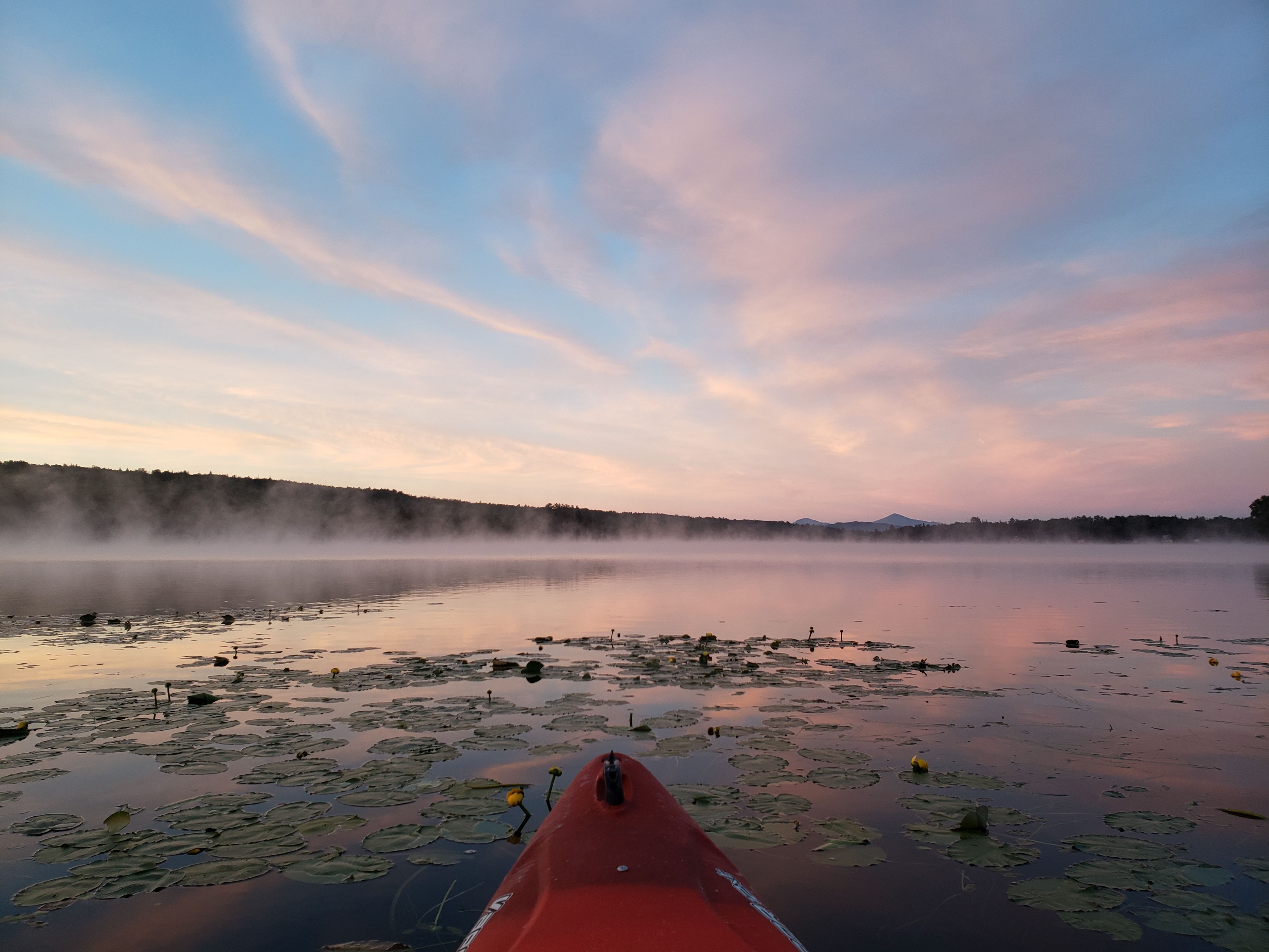 Vermont’s Dual Reality: Serene Escape and the Face of the Opioid Crisis 