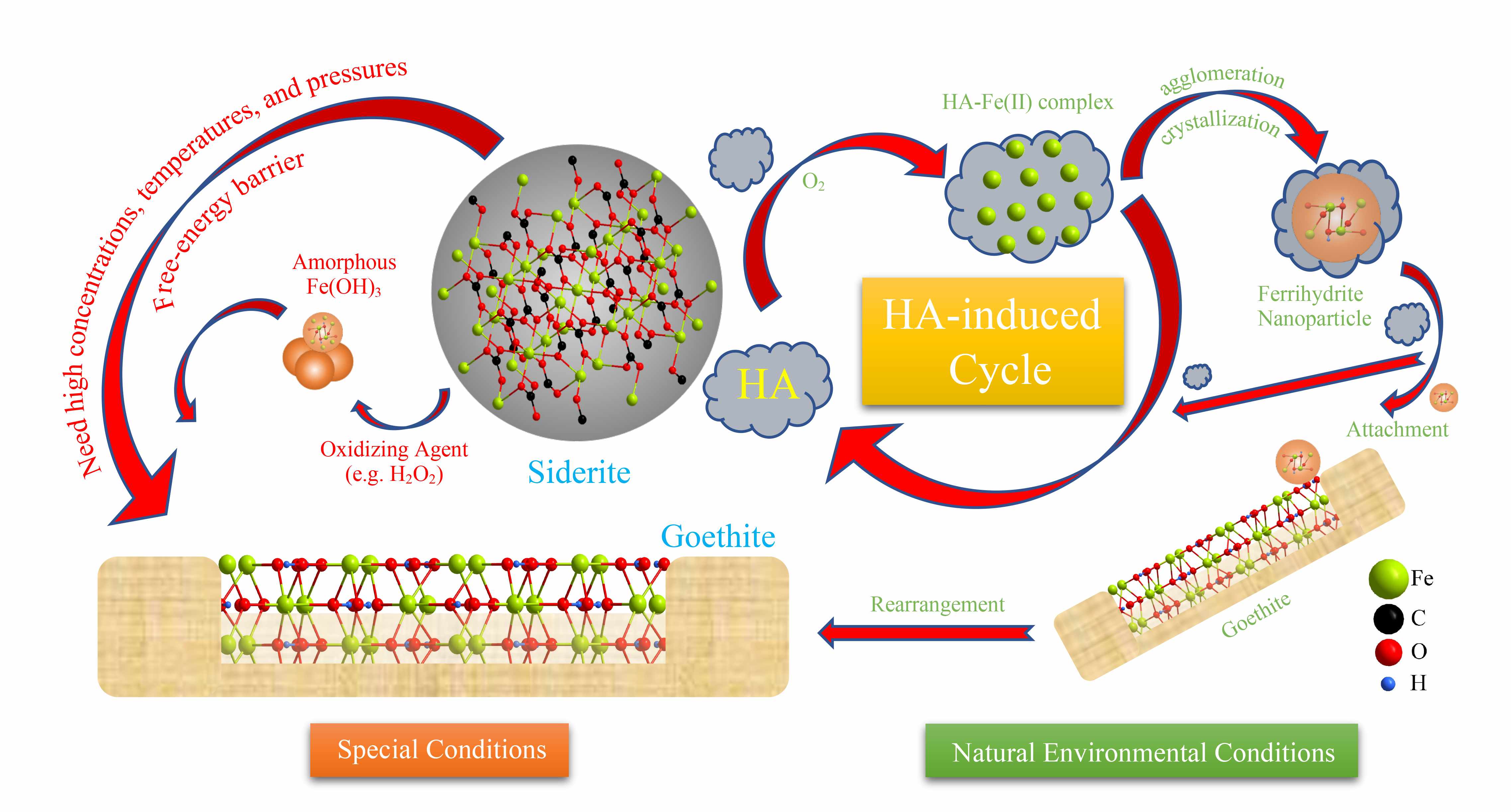 Transformation of siderite to goethite by humic acid in the natural environment 