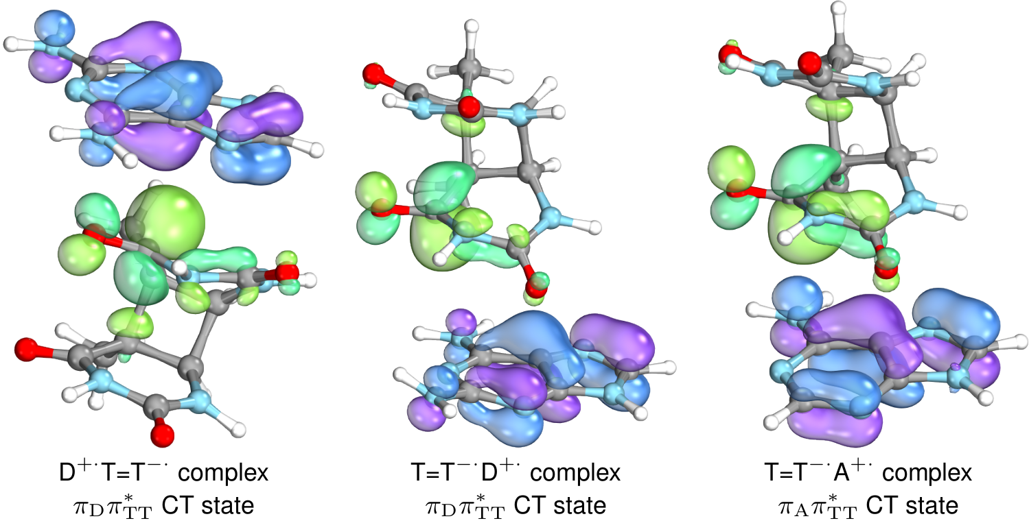 From a glass of beer to modified DNA