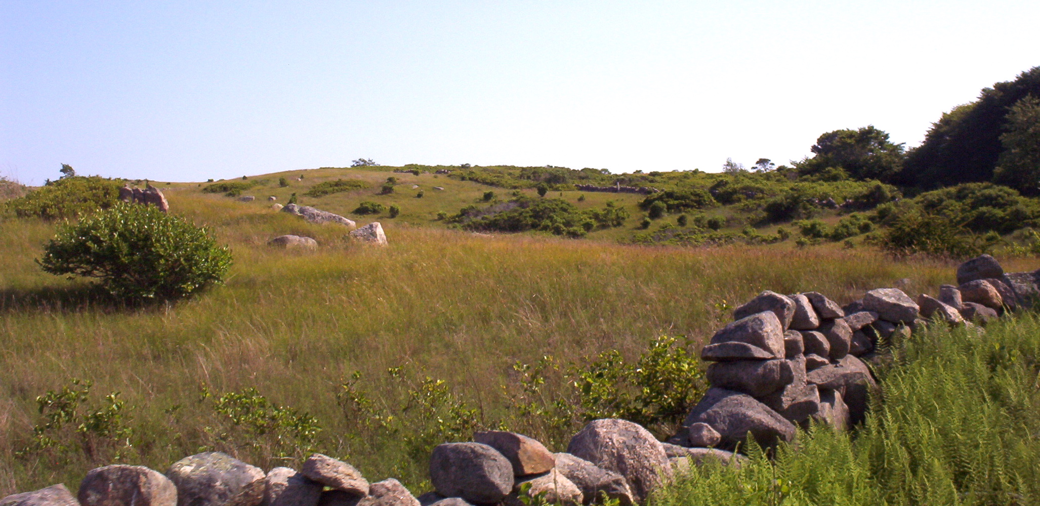 Retrospective science informs regional conservation and land management