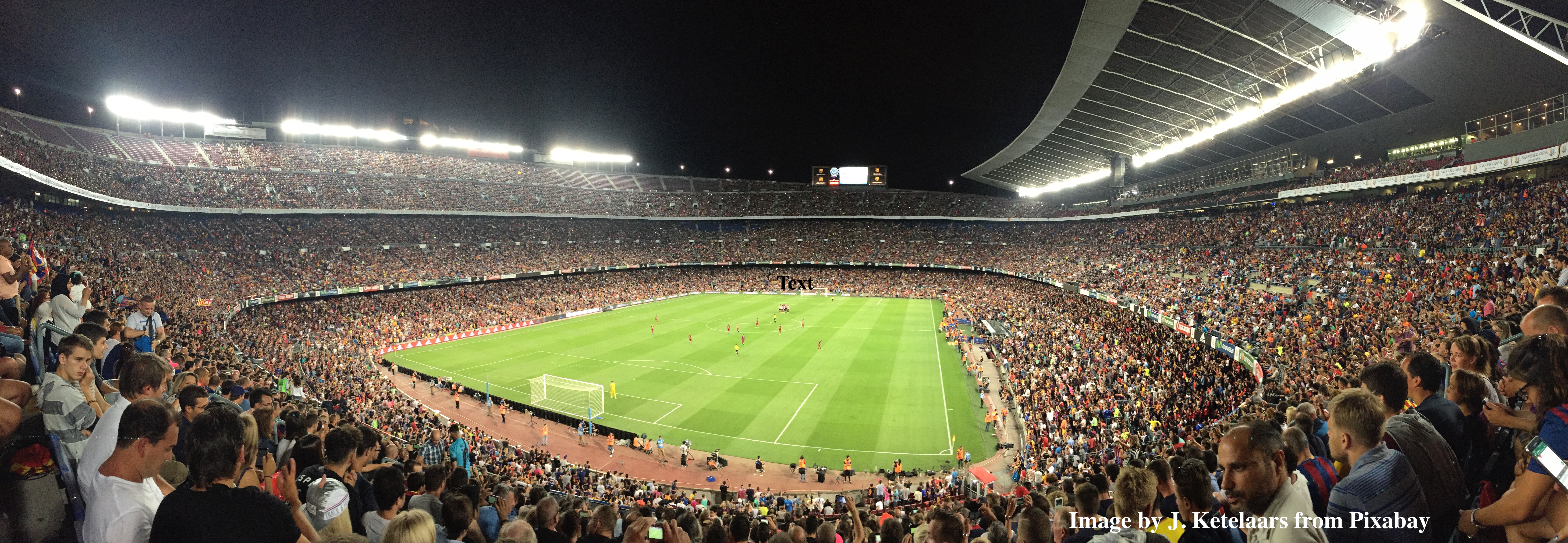 Cognitive flexibility in killer apes and elite soccer players 