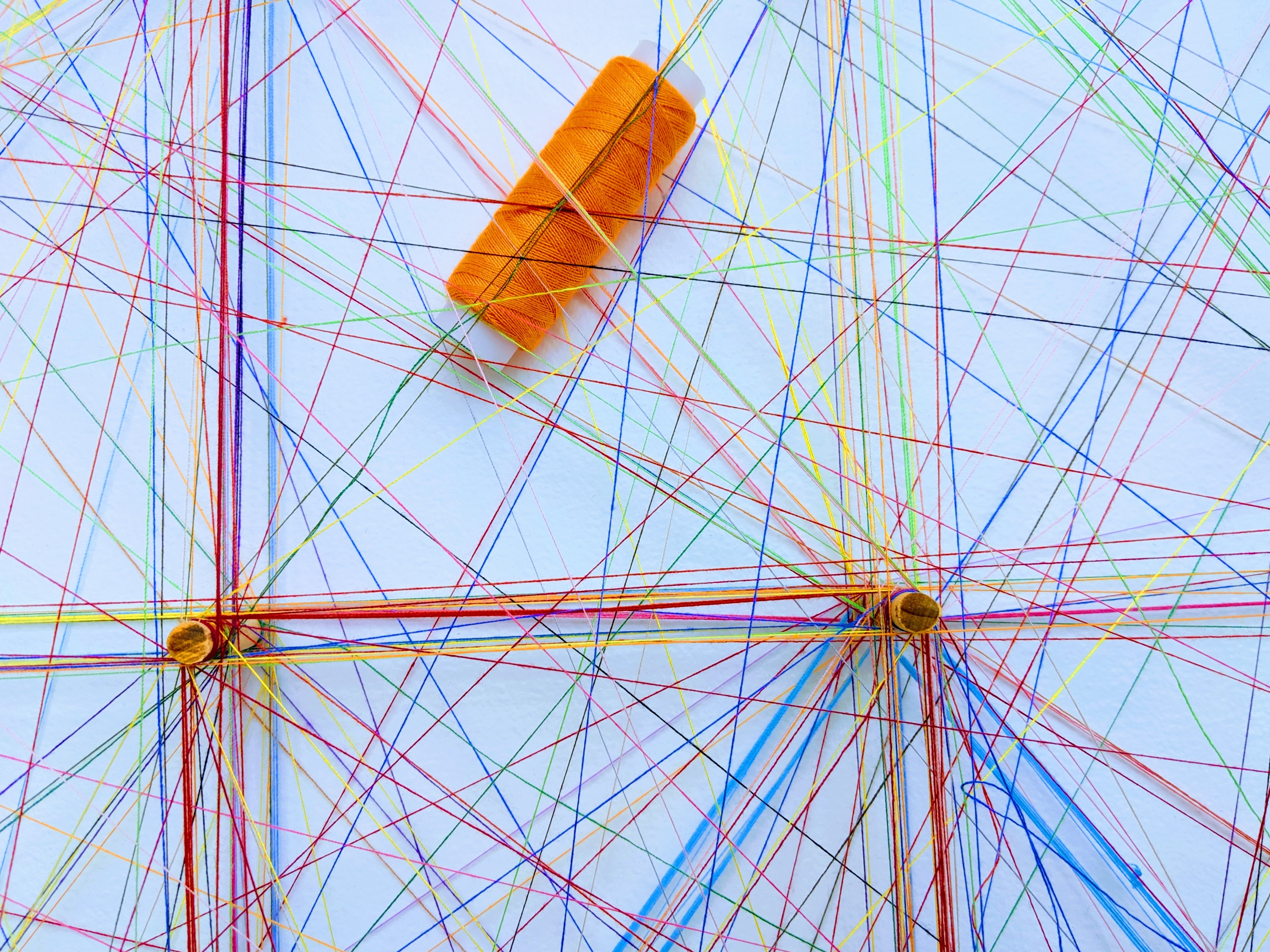 3 Ways The Network Can Help You Excel As A Laidlaw Scholar