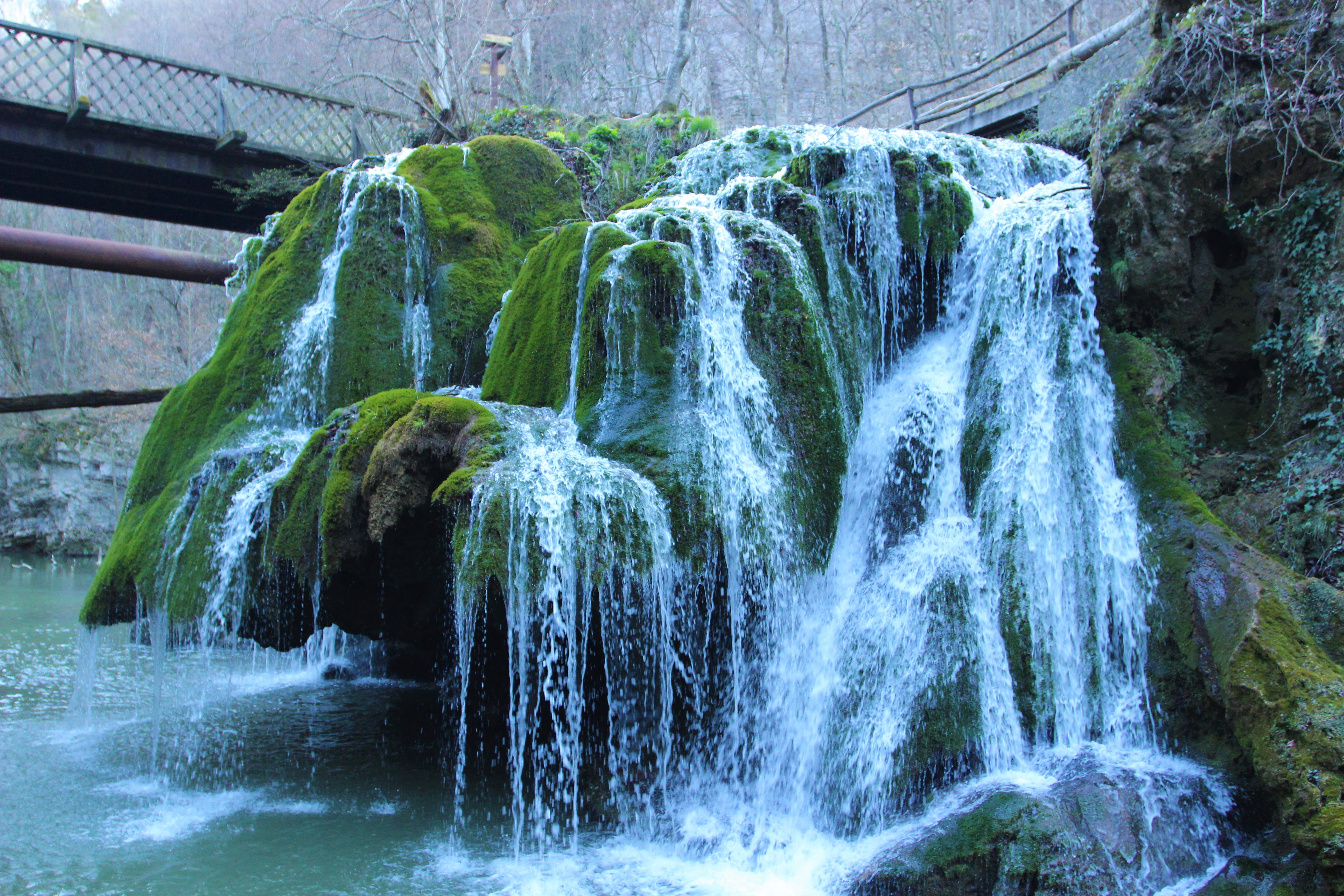 2024 Kinship Conservation Fellowship