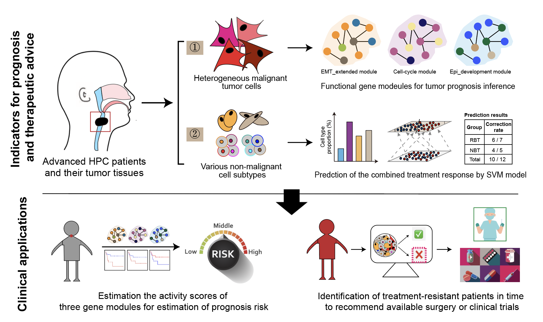 Integrated transcriptome study of the tumor microenvironment for treatment response prediction in male predominant hypopharyngeal carcinoma