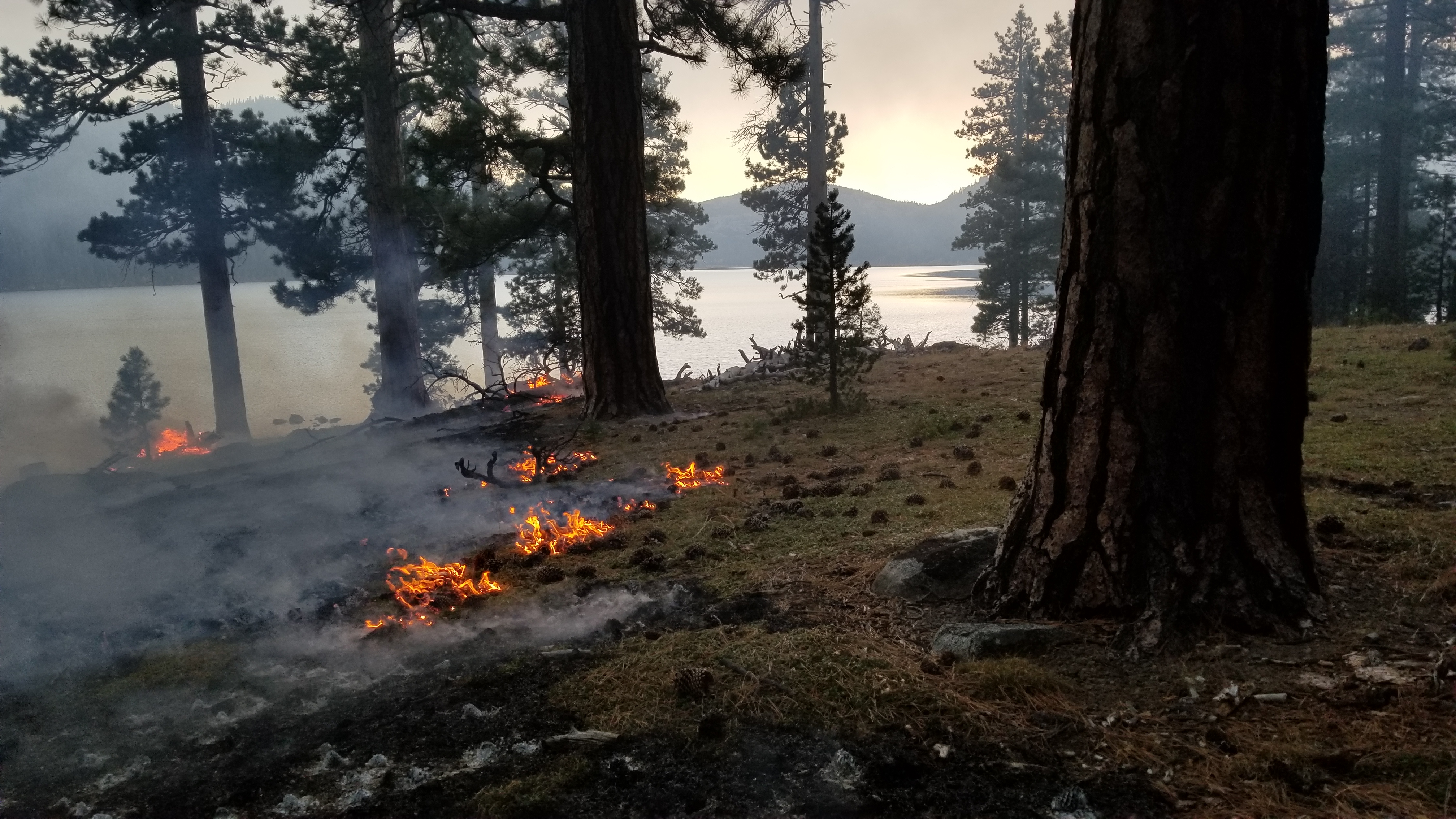 Climate change is narrowing and shifting prescribed fire windows in western United States