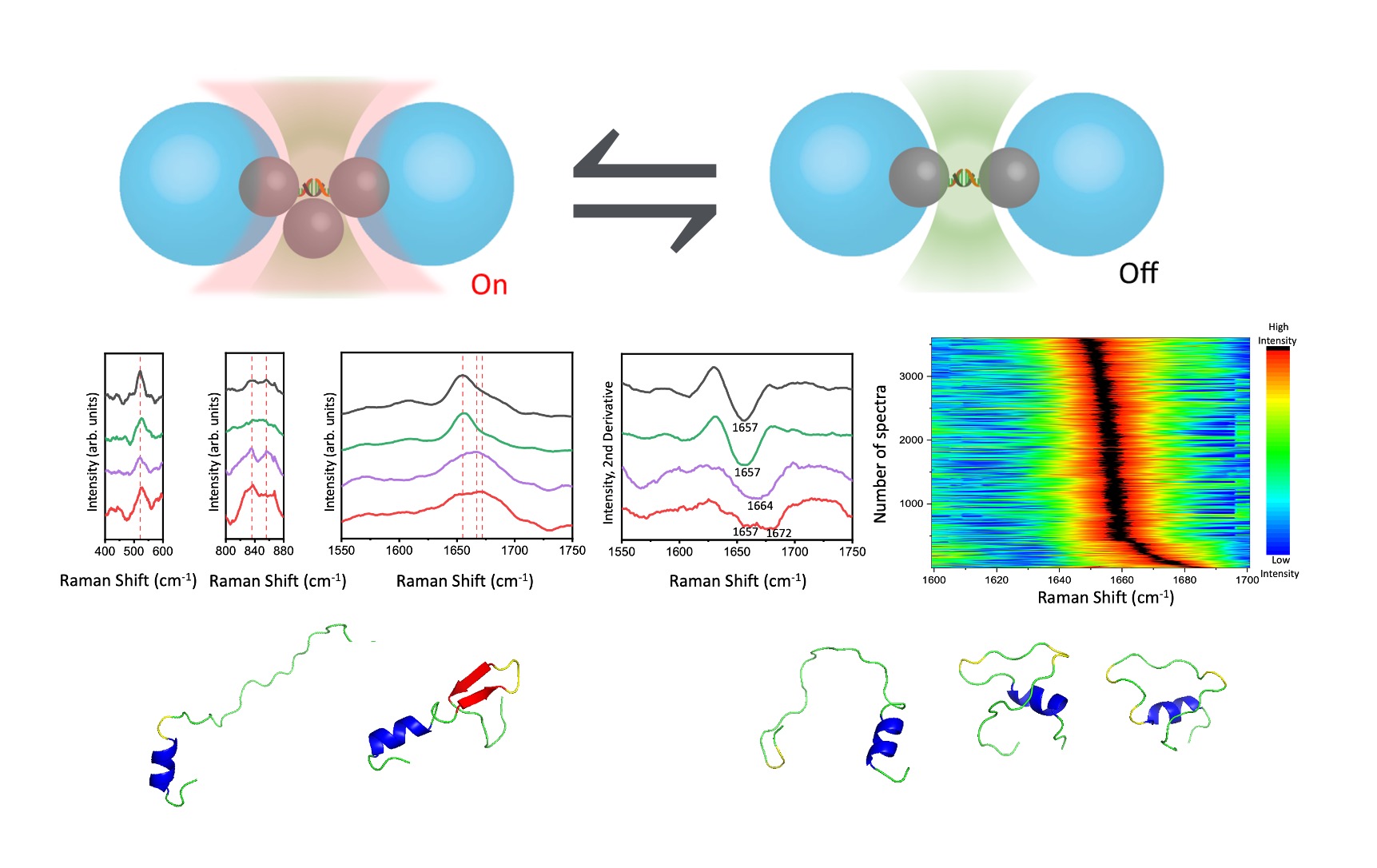 Efficient optical plasmonic tweezer-controlled single-molecule SERS characterization of pH-dependent amylin species in aqueous milieus