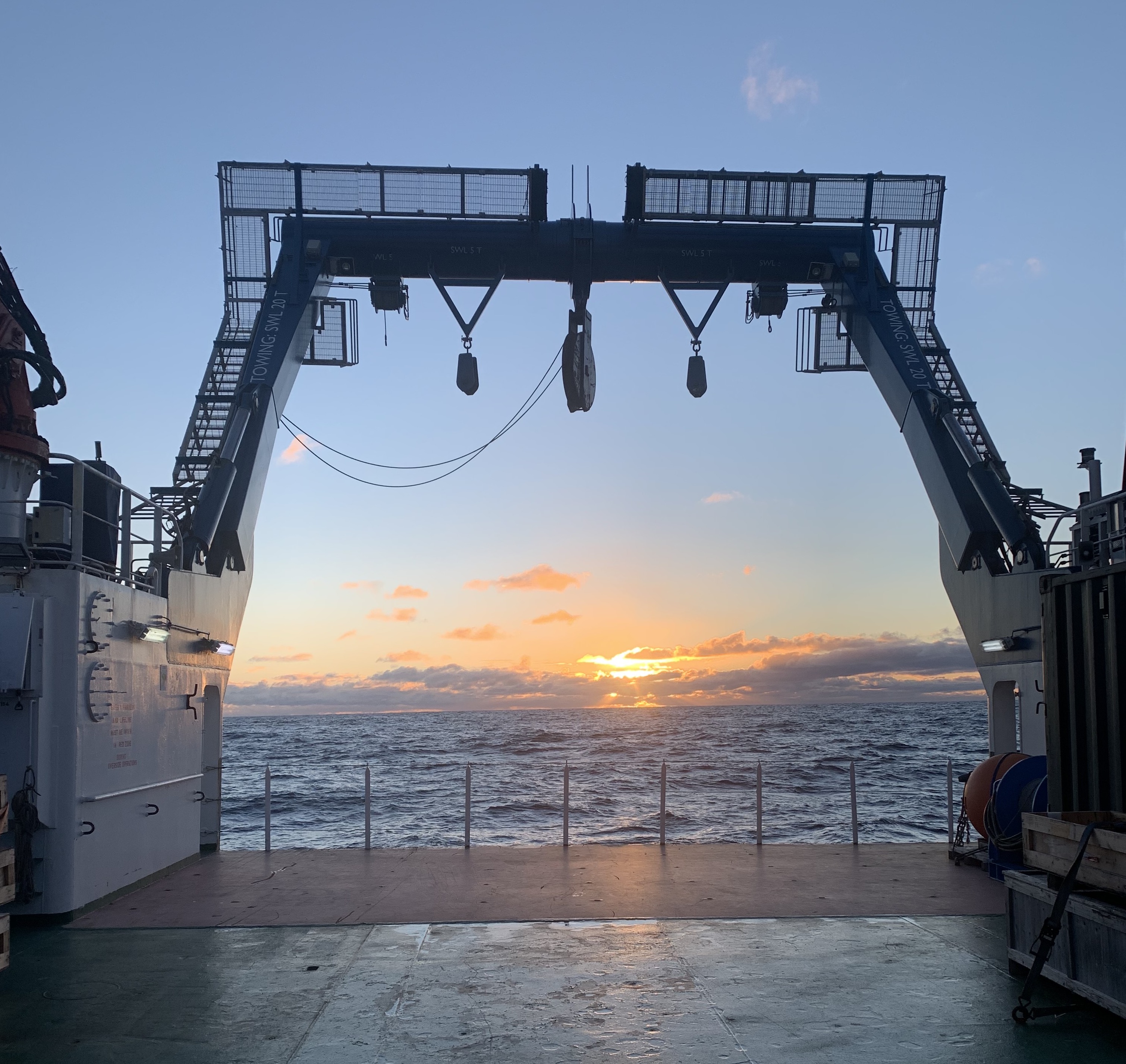 Marine microbes at the mercy of trace metals