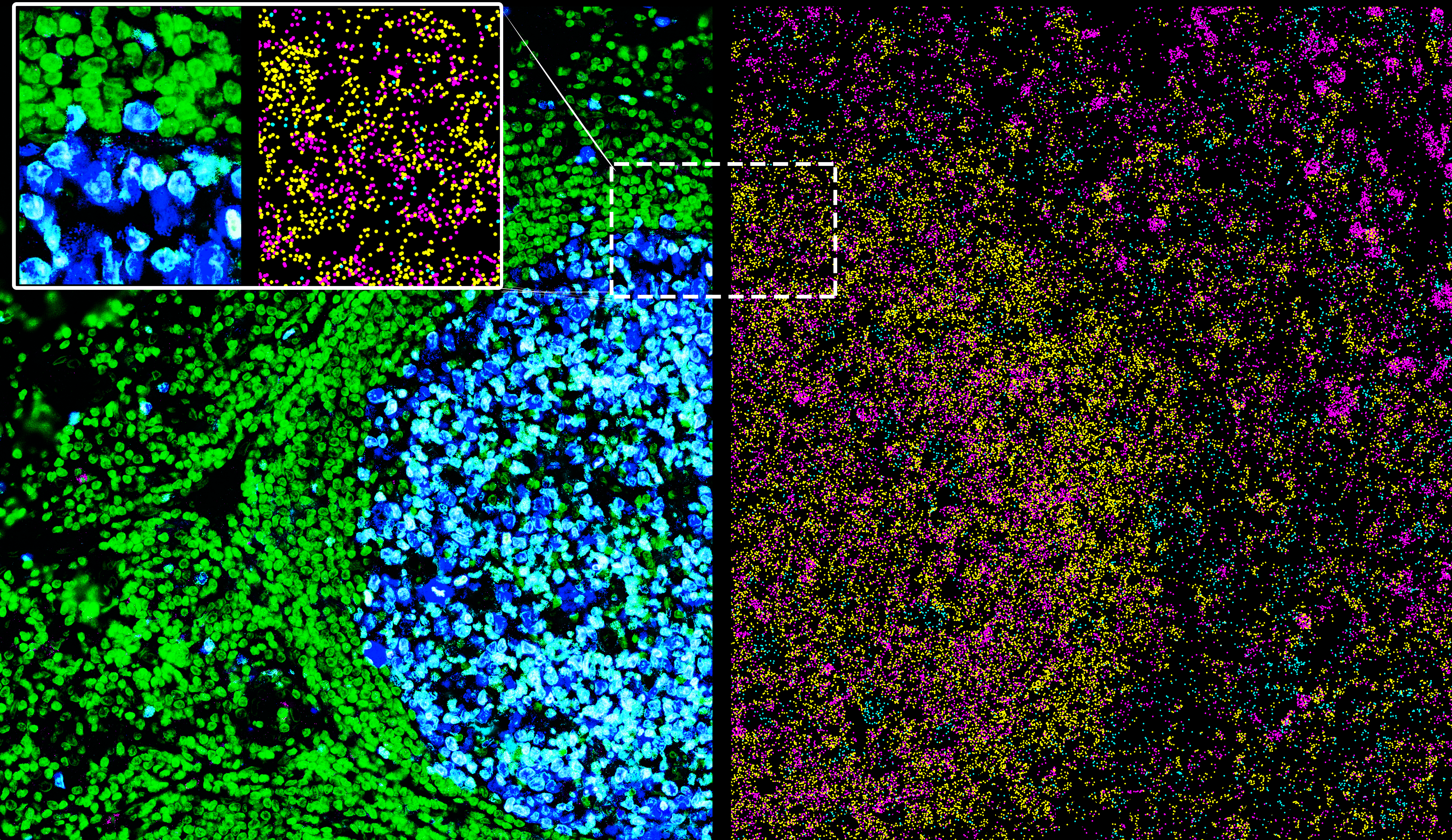 Behind the development of the high-plex Spatial Molecular Imager: from prototype to commercial instrument