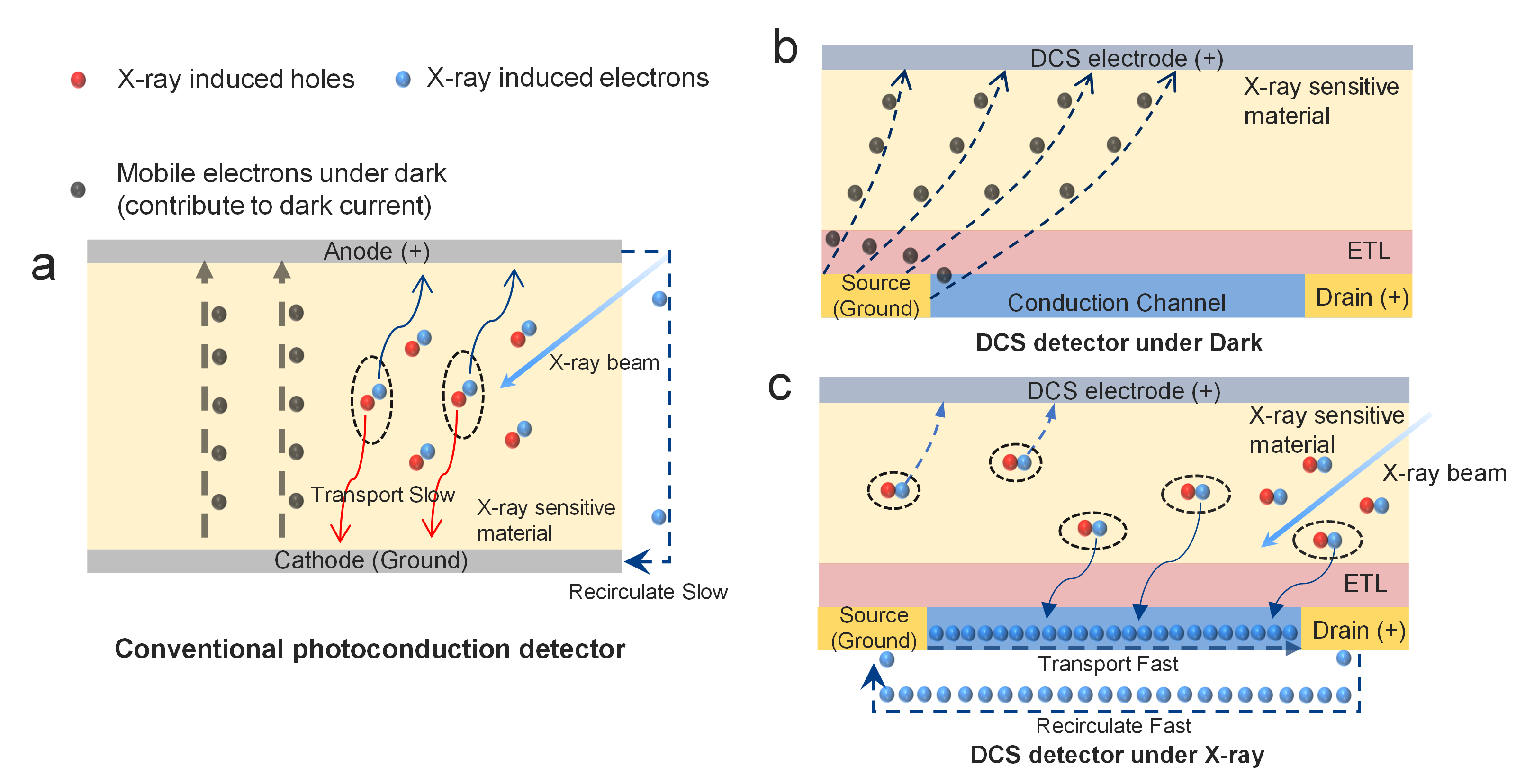 Realizing zero dark current and ultrahigh signal-to-noise ratio detectors by DCS method