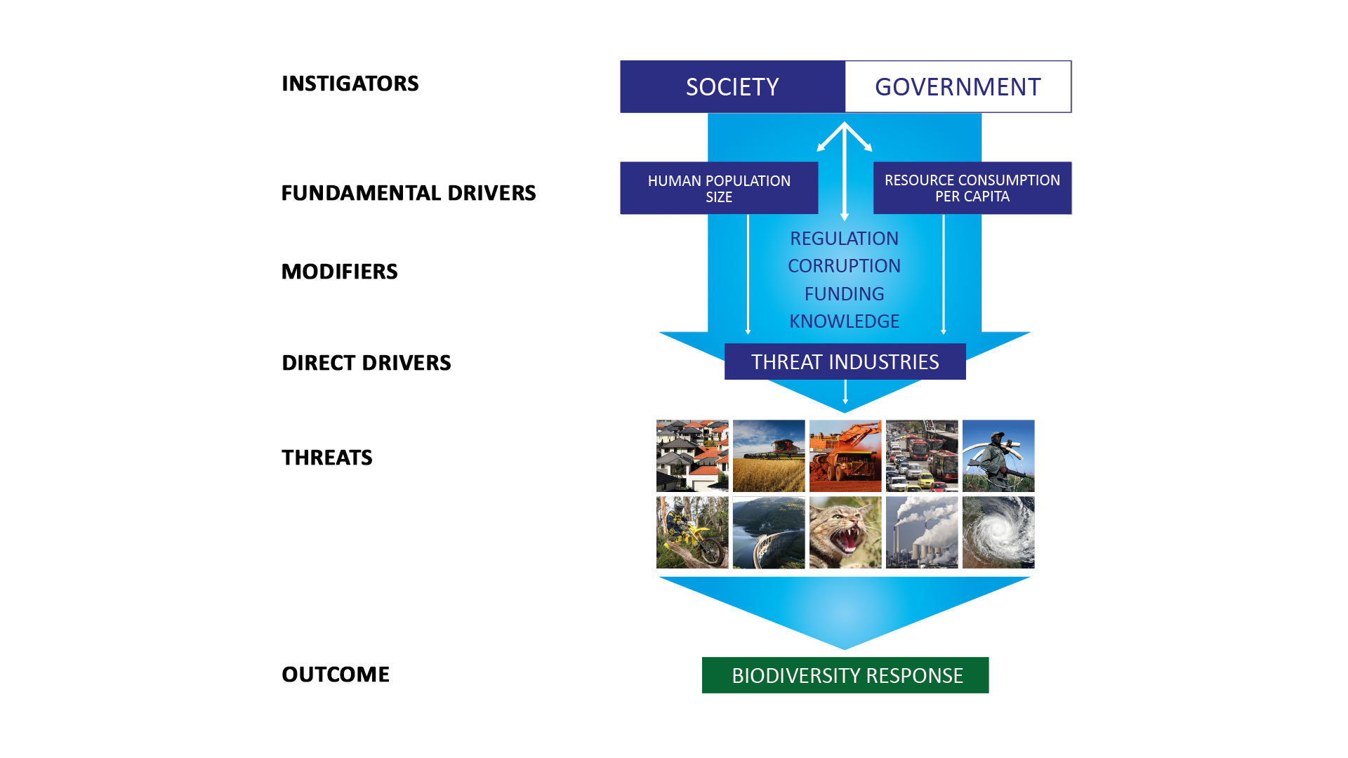 A biodiversity-crisis hierarchy to evaluate and refine conservation indicators