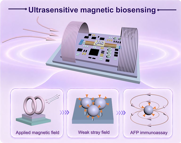 Ultralow Noise Orthogonal Fluxgates Enabling Weak Magnetic Field and Biomolecular Detection