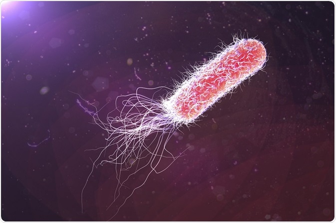 Discovering the antimicrobial resistance and virulence world from the genus Pseudomonas through healthy animals.