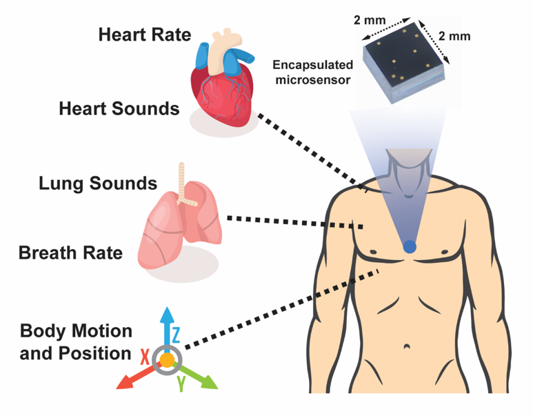 Beyond the Stethoscope: Wearables for Recording Mechano-Acoustic Signatures of the Heart and Lungs