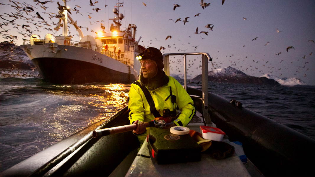 Capture science in action for Nature photo competition
