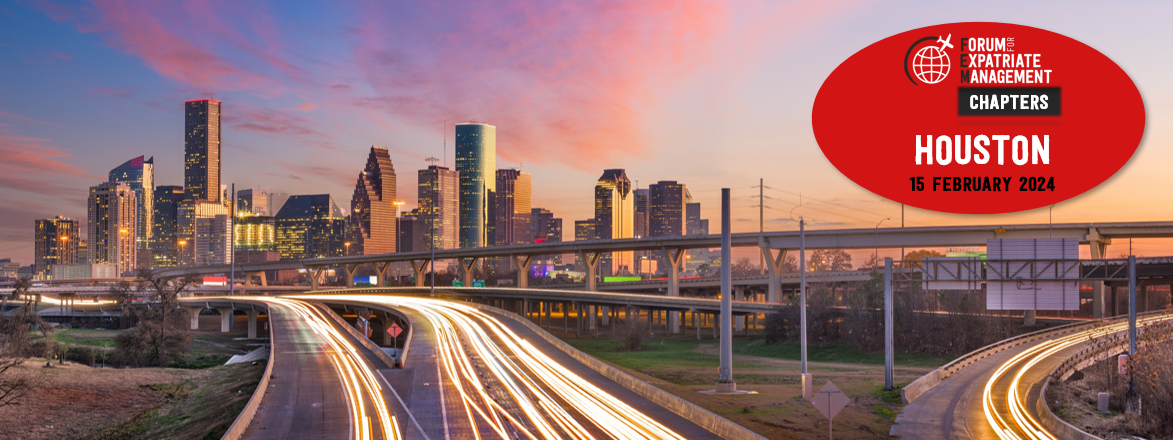 FEM Houston Chapter Meeting - 15 February 2024