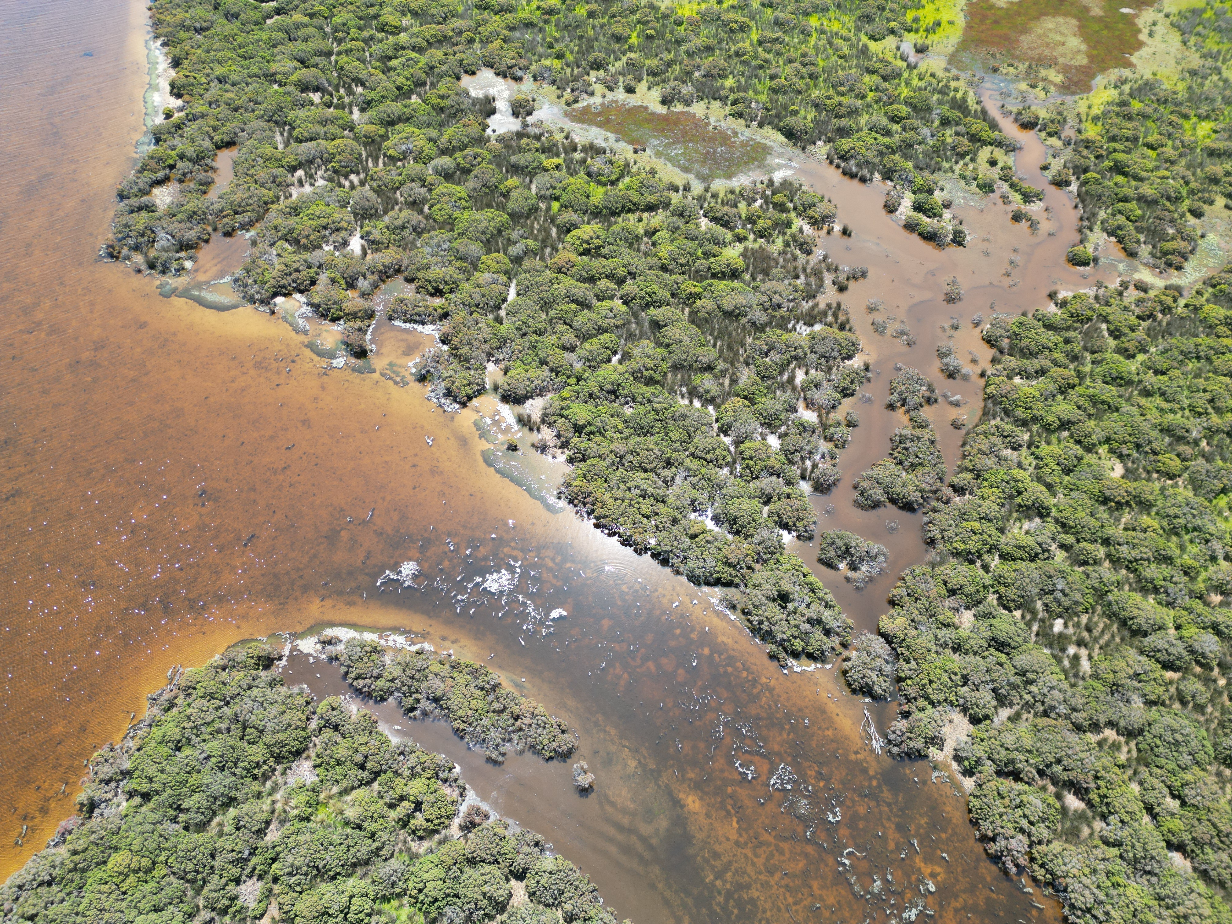 Piecing together the past: building a 200-year global sea-level database