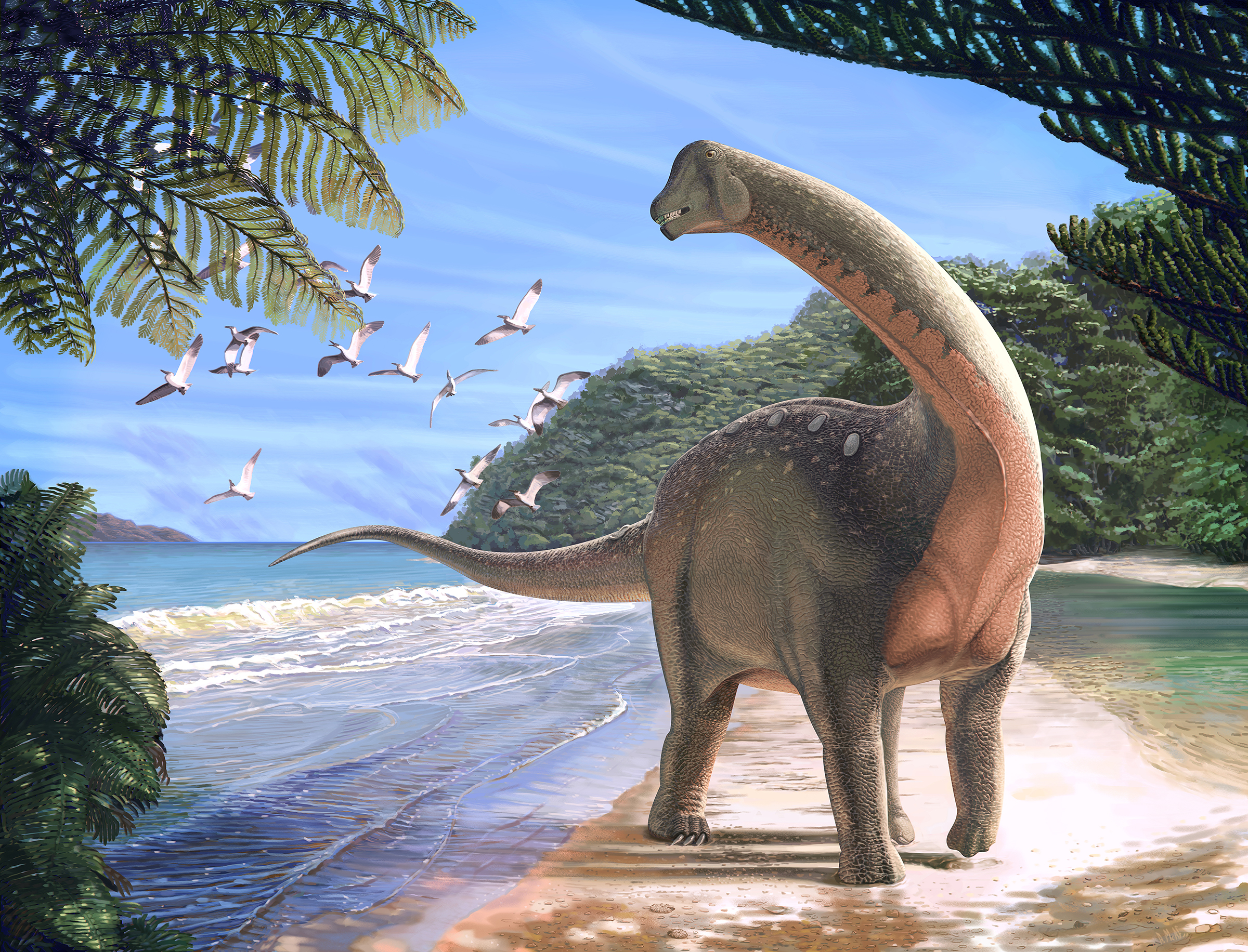 Mansourasaurus- A story from the land of Pharaoh and Dinosaurs