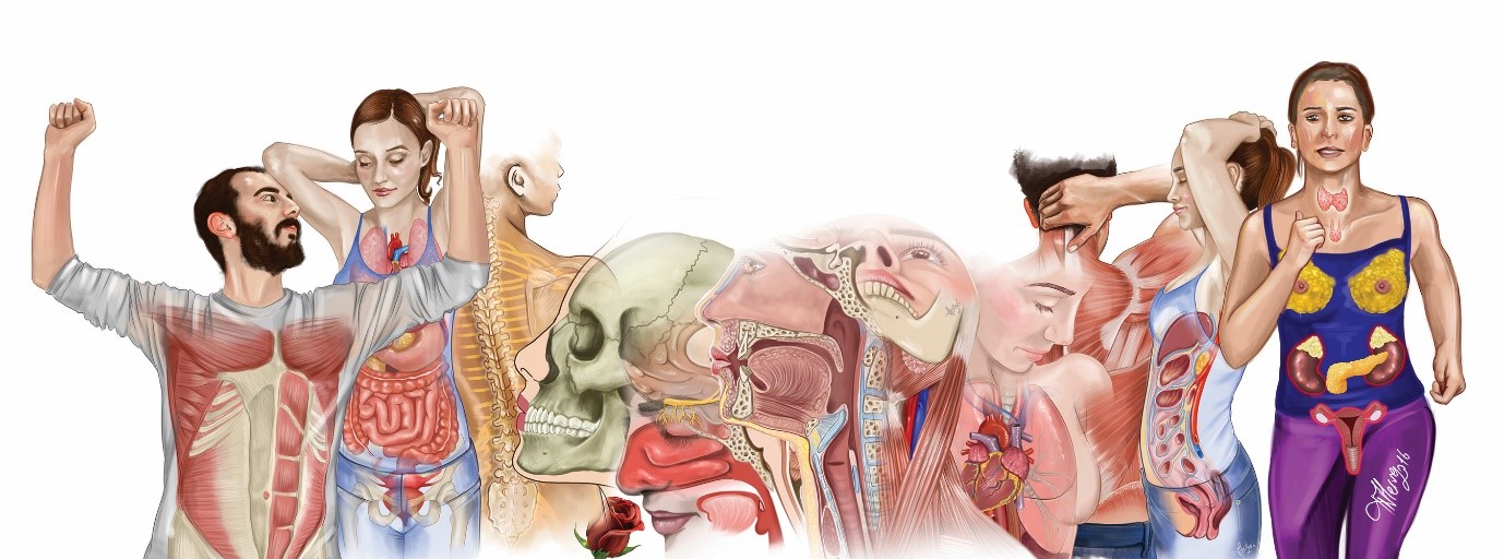 A day in the life of…  a scientific/medical illustrator