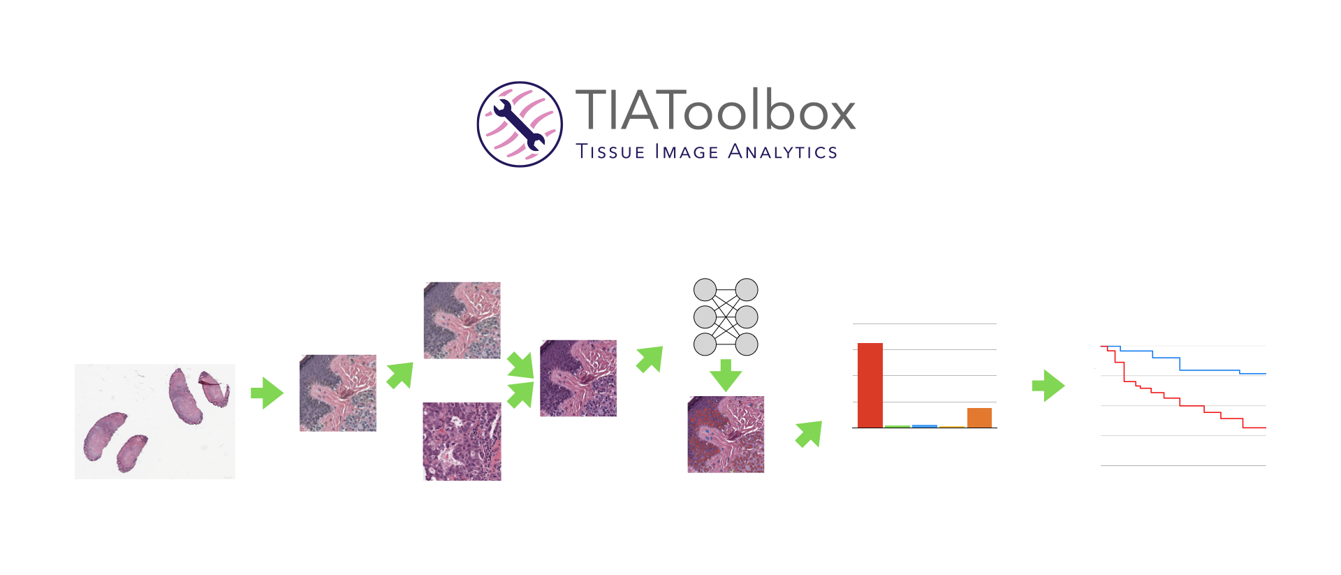 Connecting AI & Pathology Using TIAToolbox 