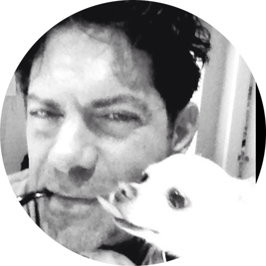 Go to the profile of Alan Paul