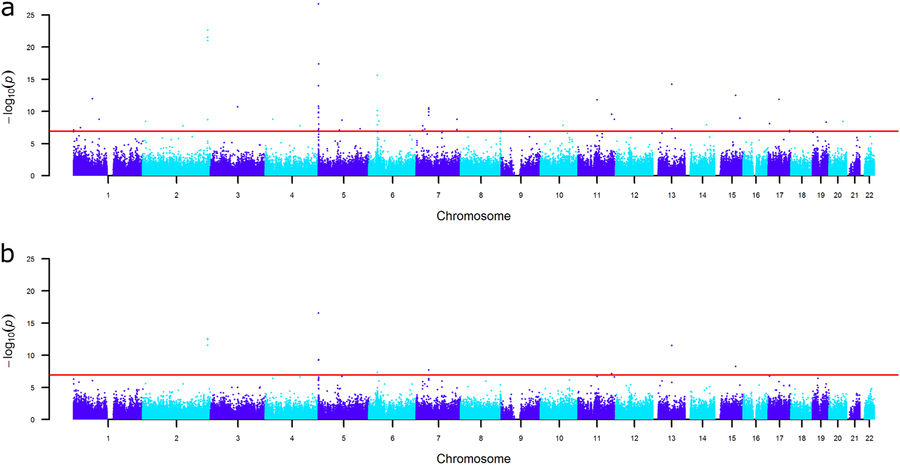 Editorial summary—DNA methylation signatures of educational attainment