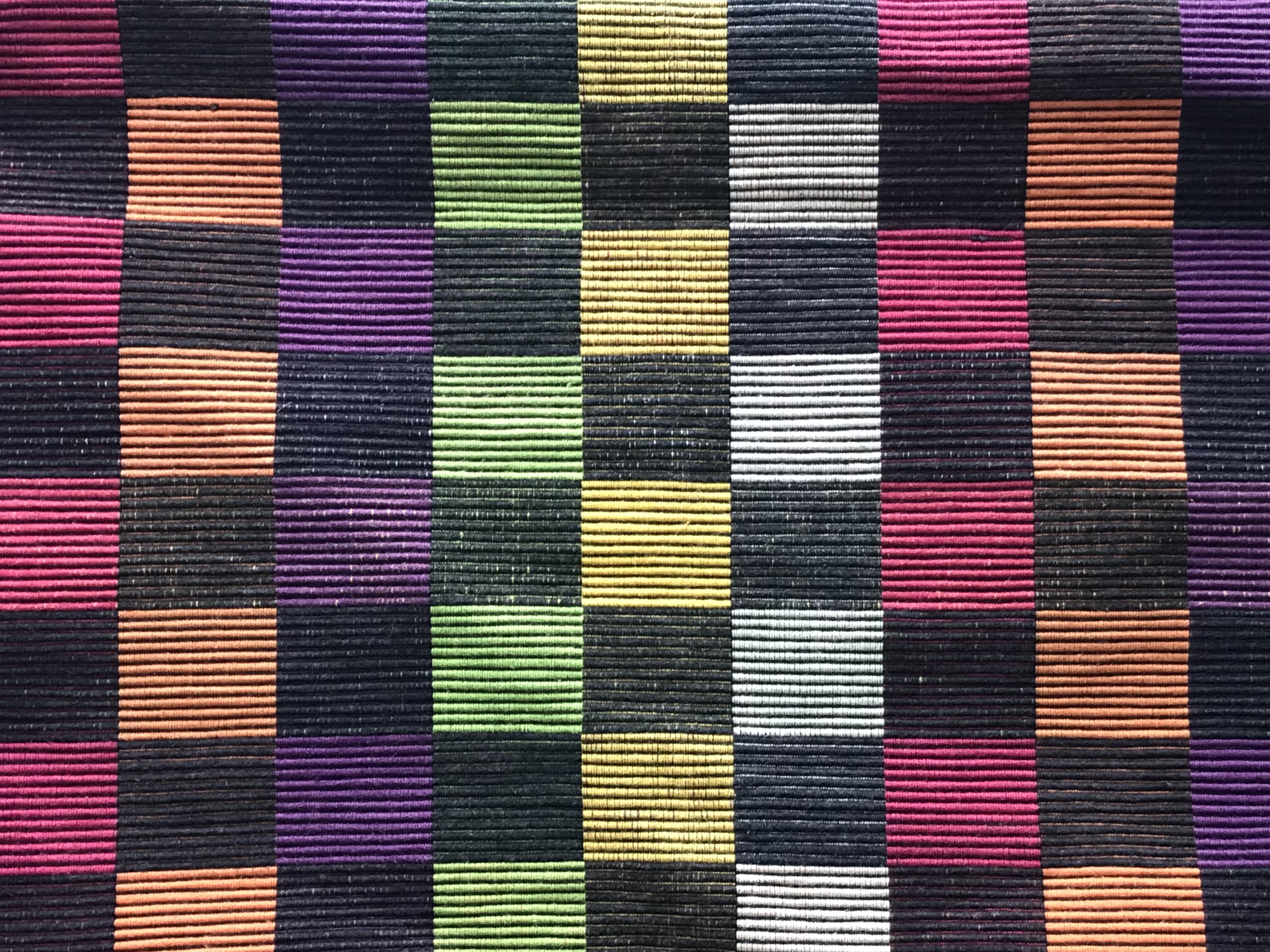 Objectivity in evolutionary sciences: can data speak for themselves?