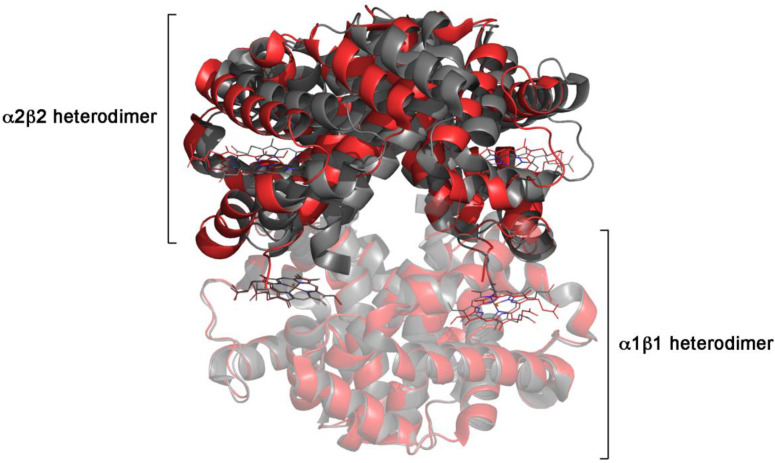 How do we distinguish enzymes obeying a sequential or concerted reaction mechanism?