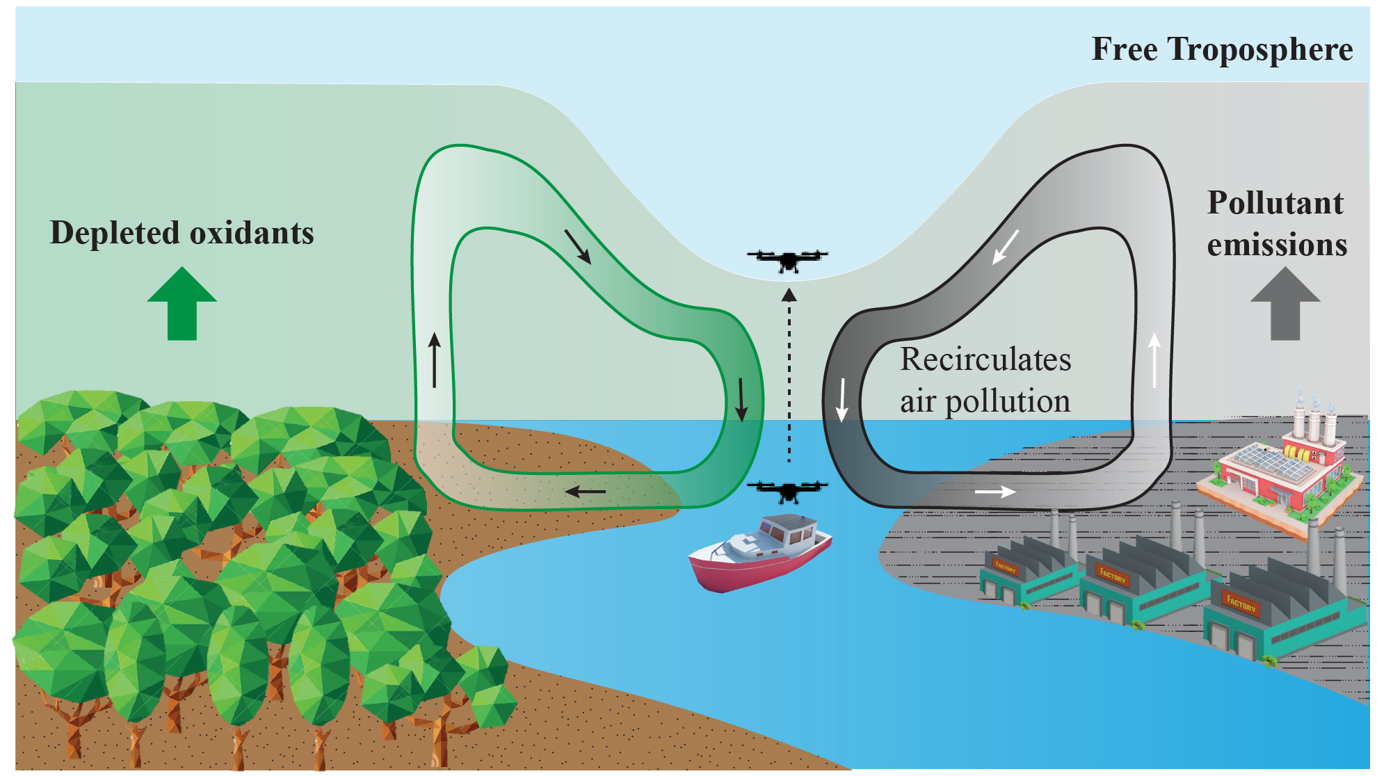 Amazonian river winds unraveled by in situ air pollution observations over river