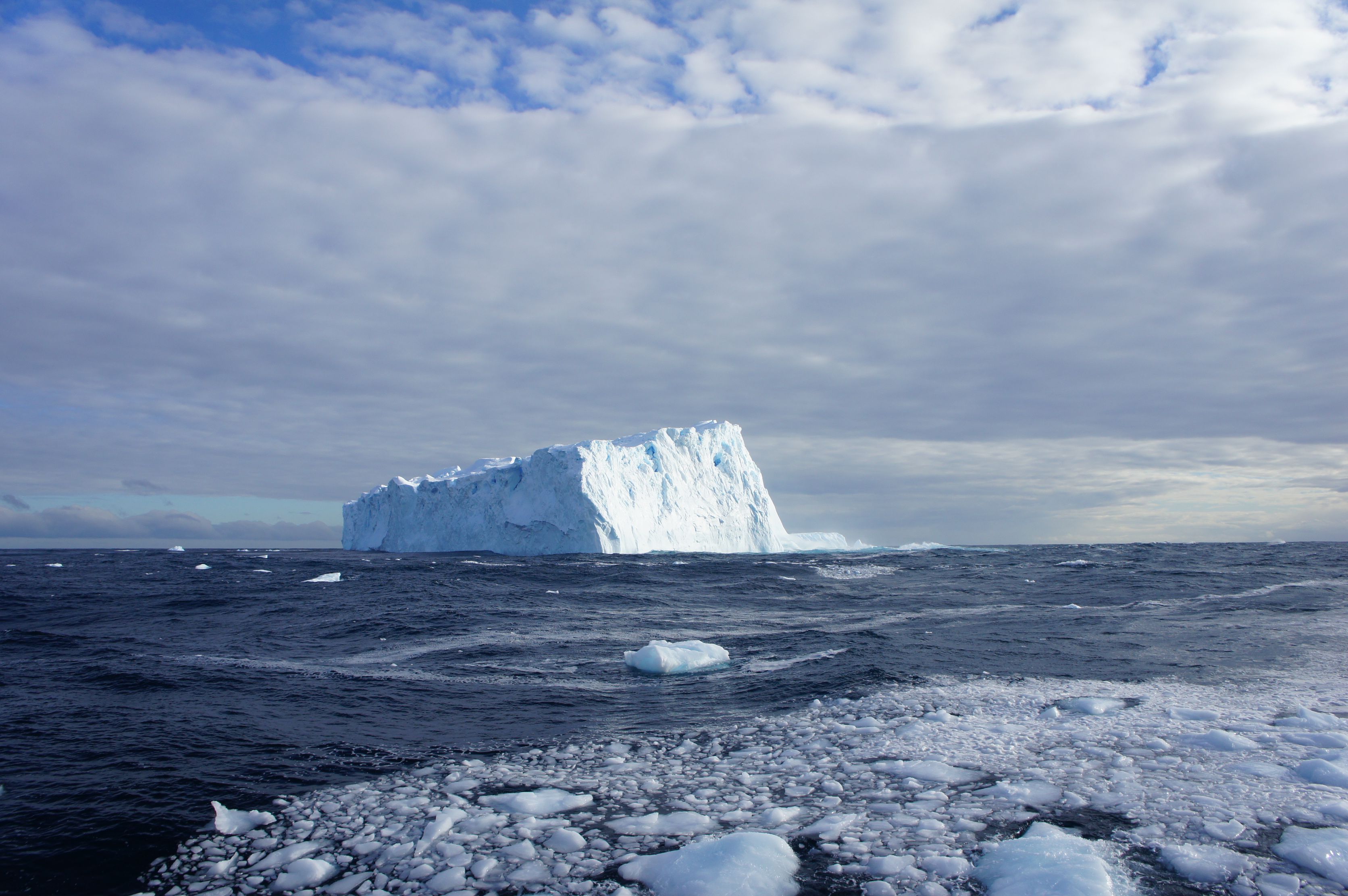Incorporating viruses into the concept of biogeochemical cycles