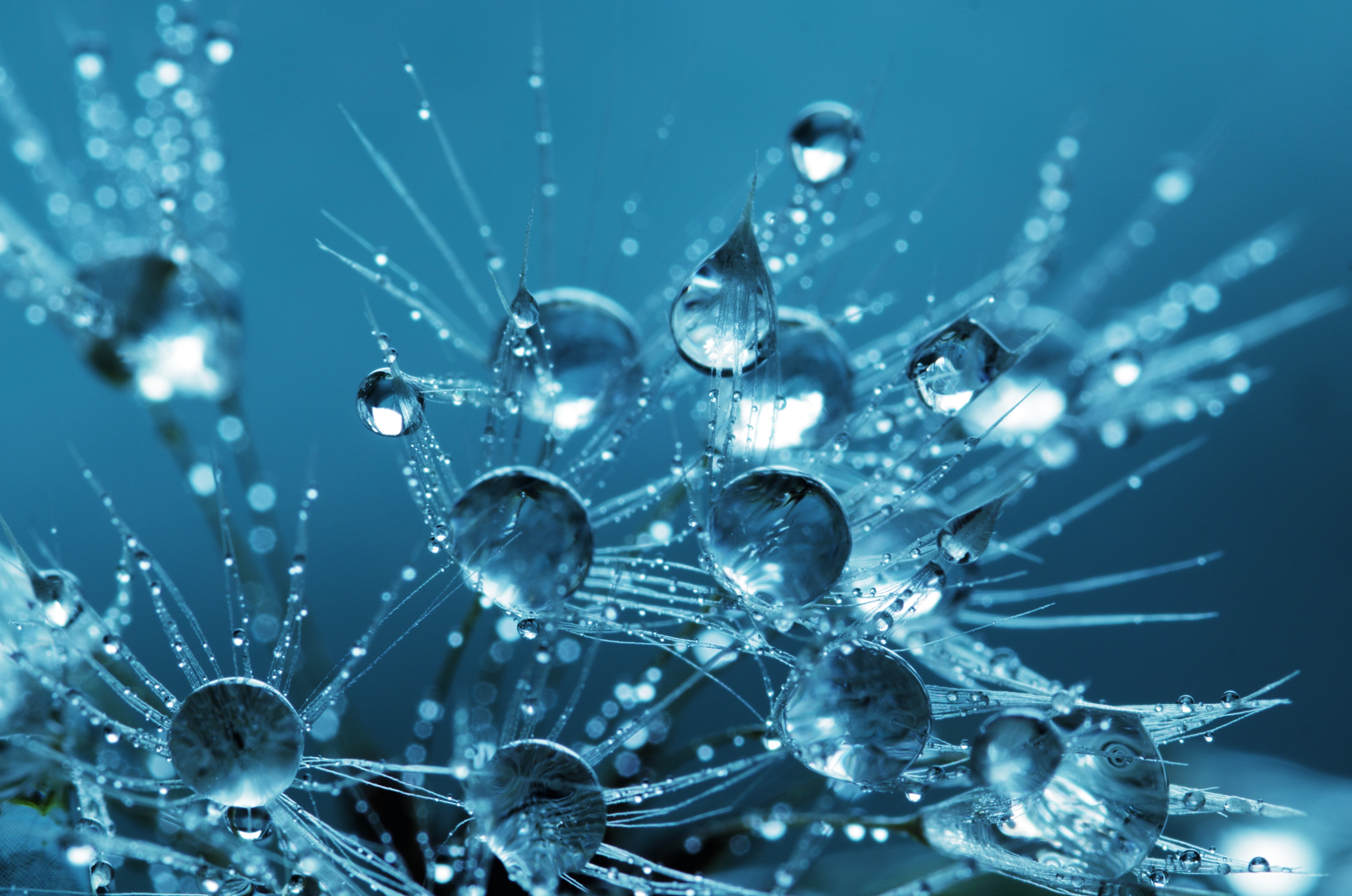 Why Do Social Sciences Fail to Derive Unified Theories?