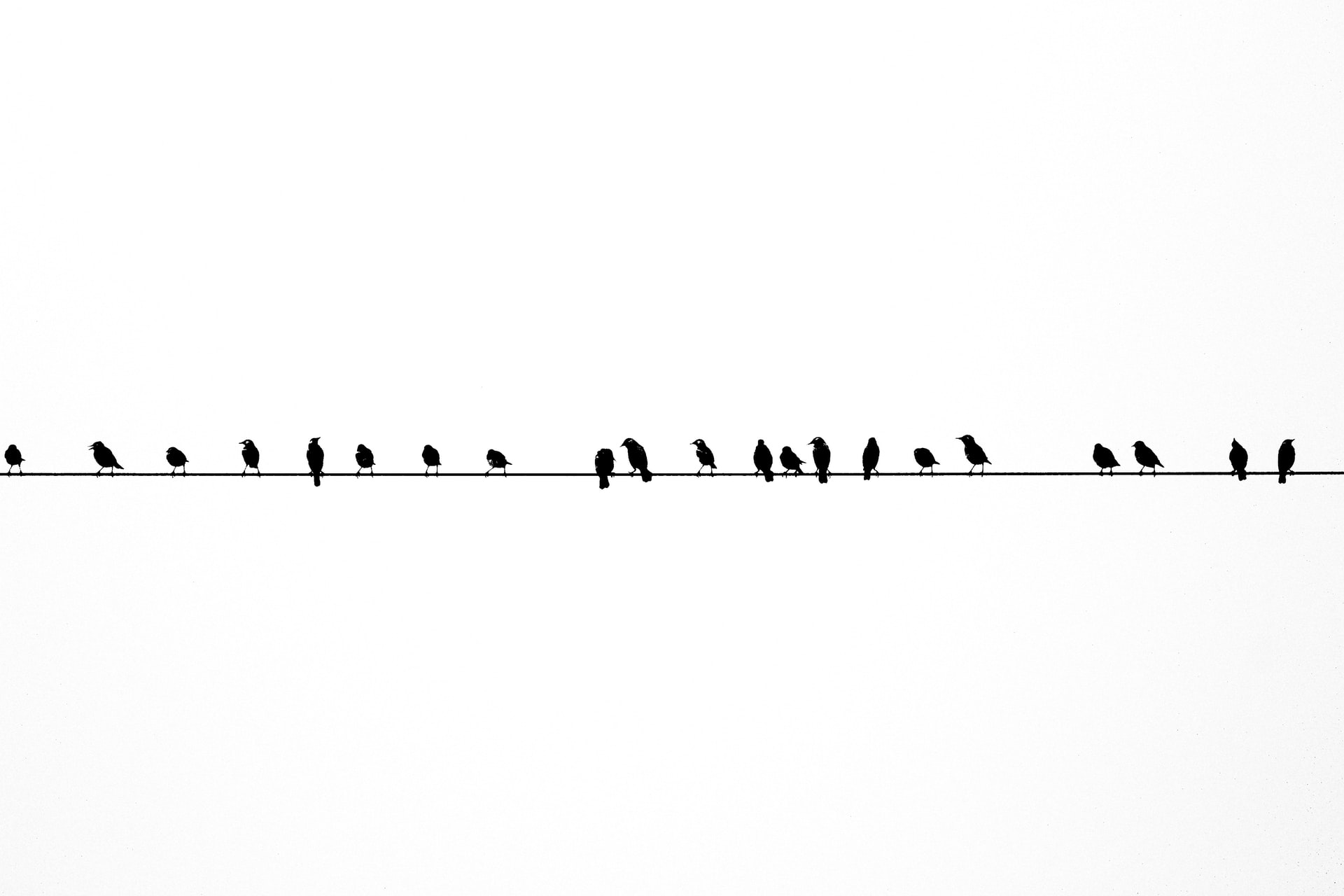 Focal randomisation in grant allocation: a new wave of innovation in grant funding