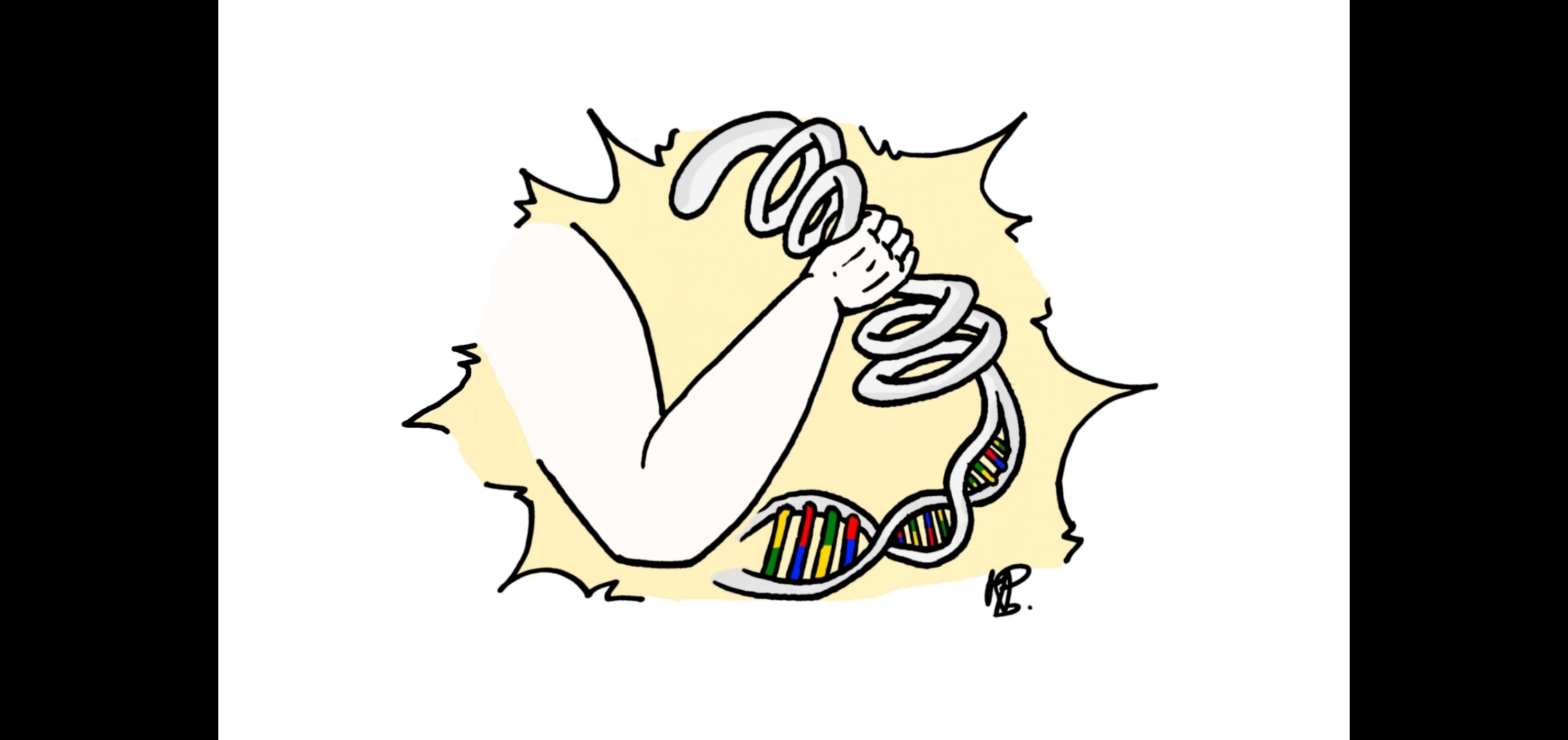 How does syphilis shape the pathogen genome during infection "arms race"? 
