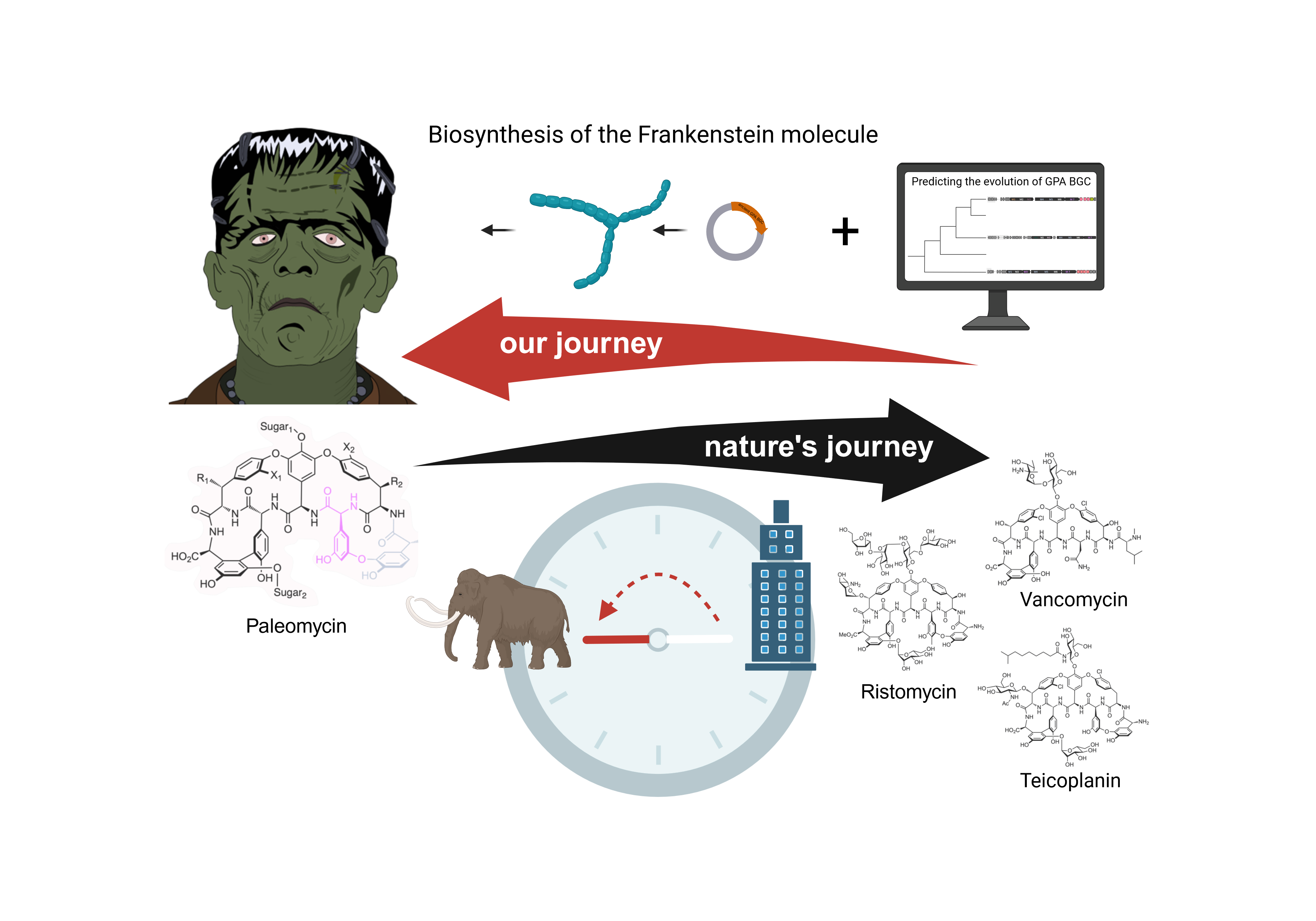 The Frankenstein molecule: resurrecting an ancient antibiotic to create antibiotics of the future