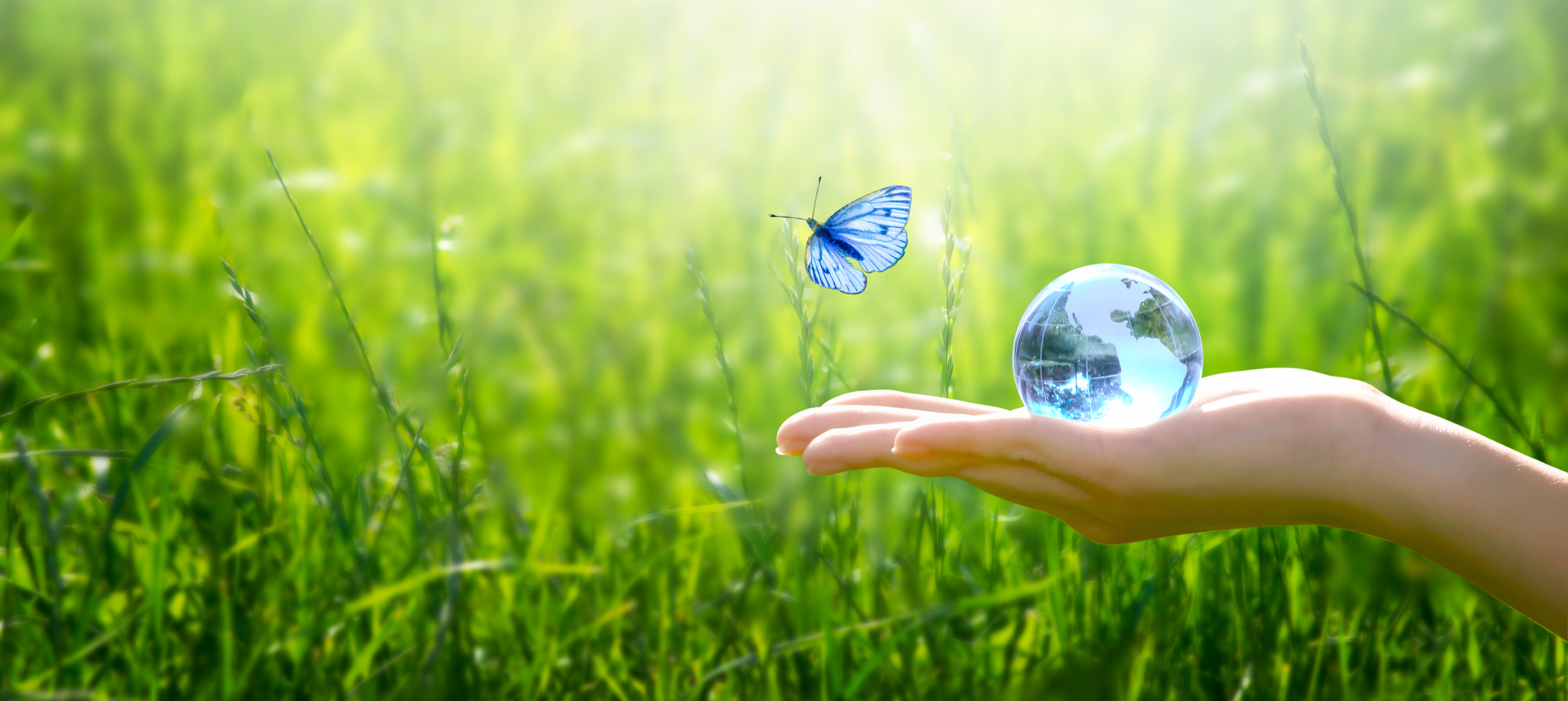 World Environment Day 2025