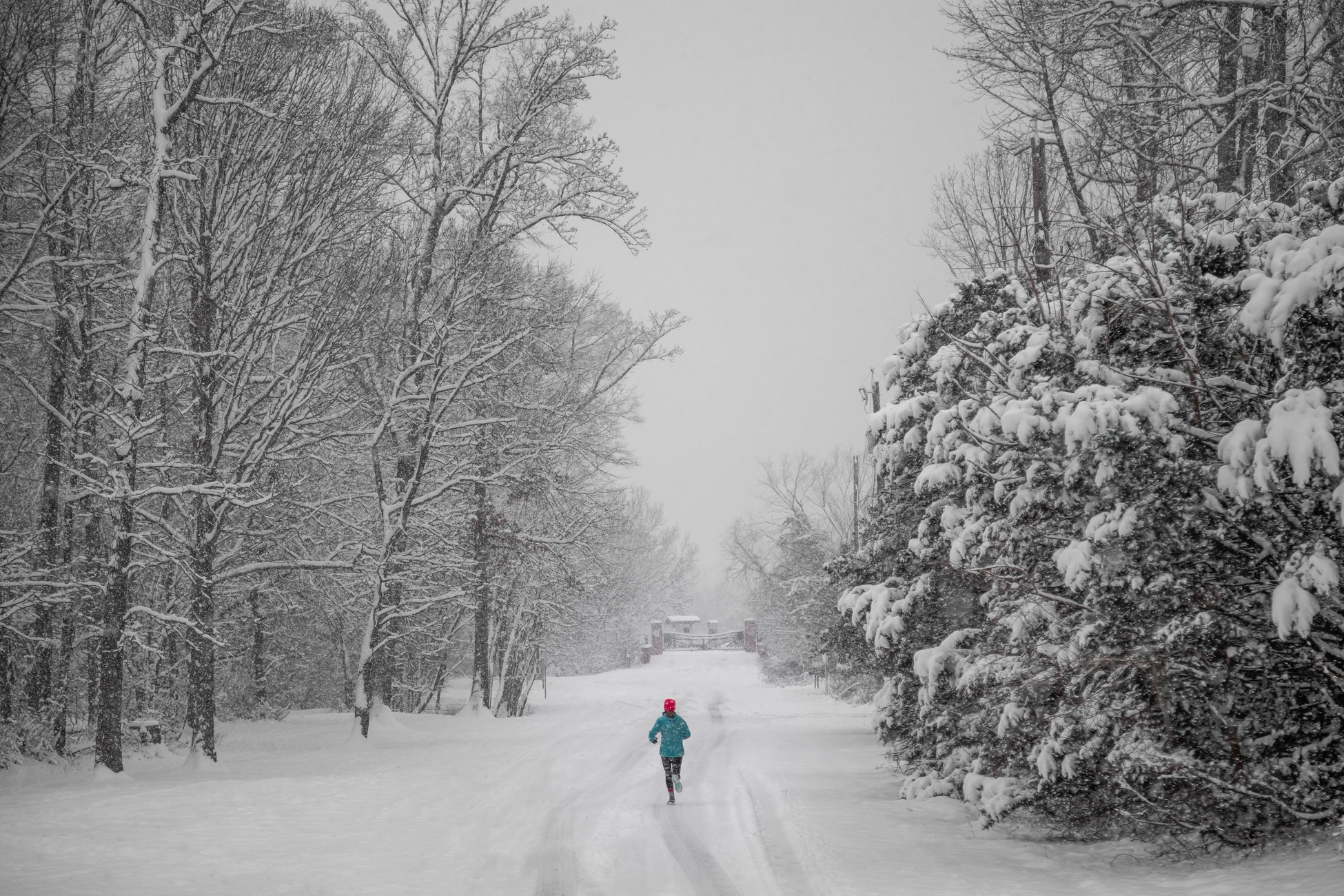 January’s customer community highlights: 2019 anticipations, the cost of Open Access, the power of memories and more